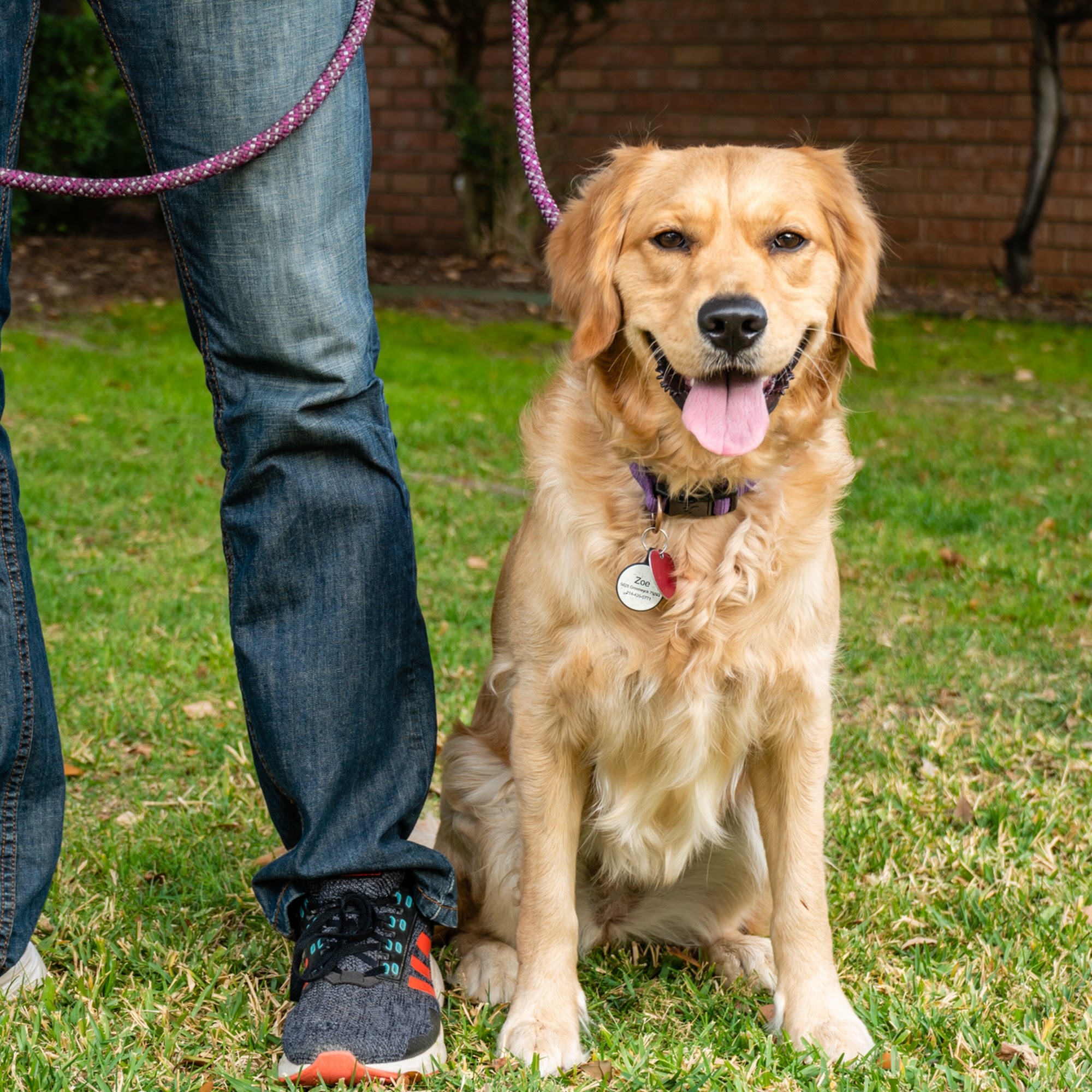 Willowbend Pet Sitting Plano