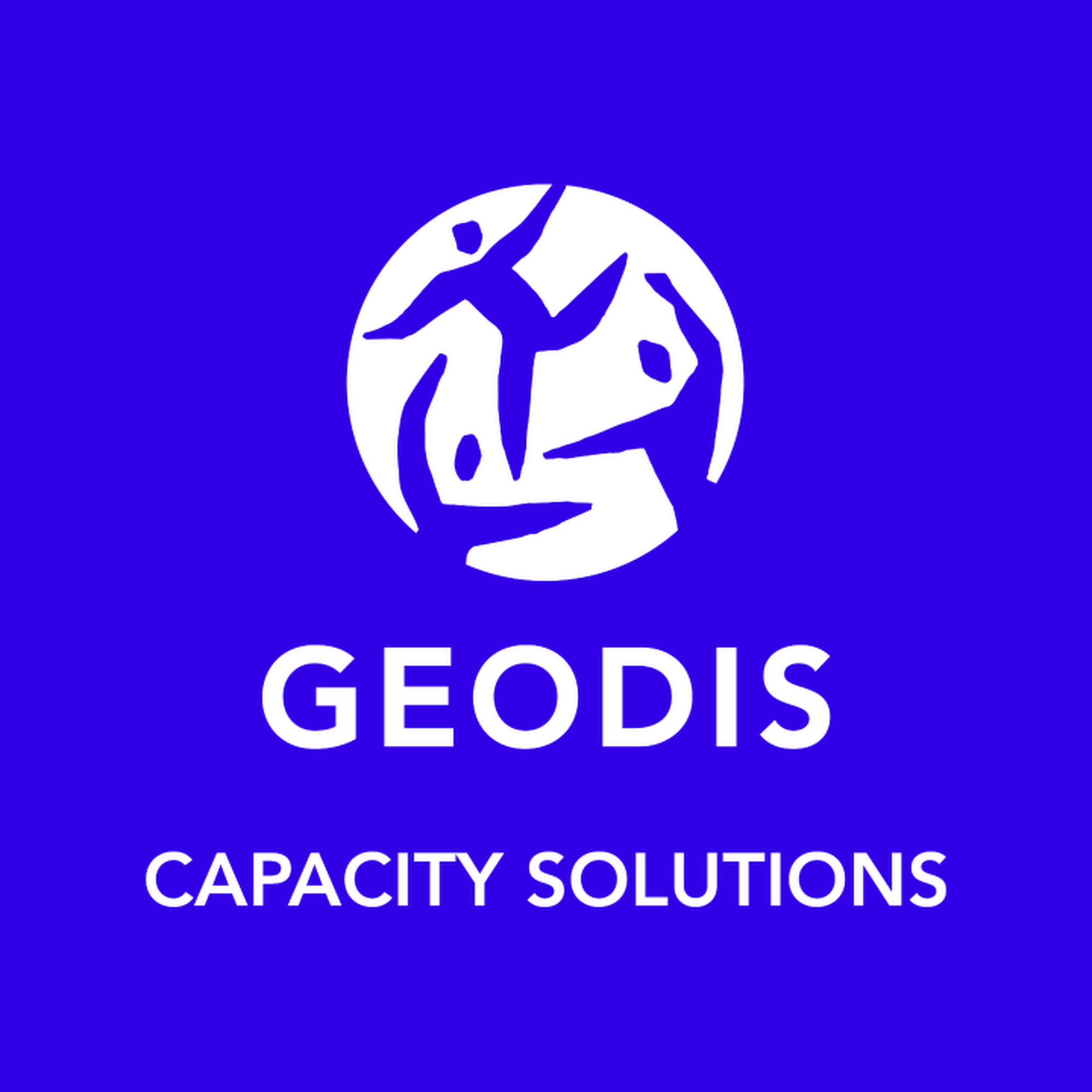 GEODIS Transportation Solutions, LLC