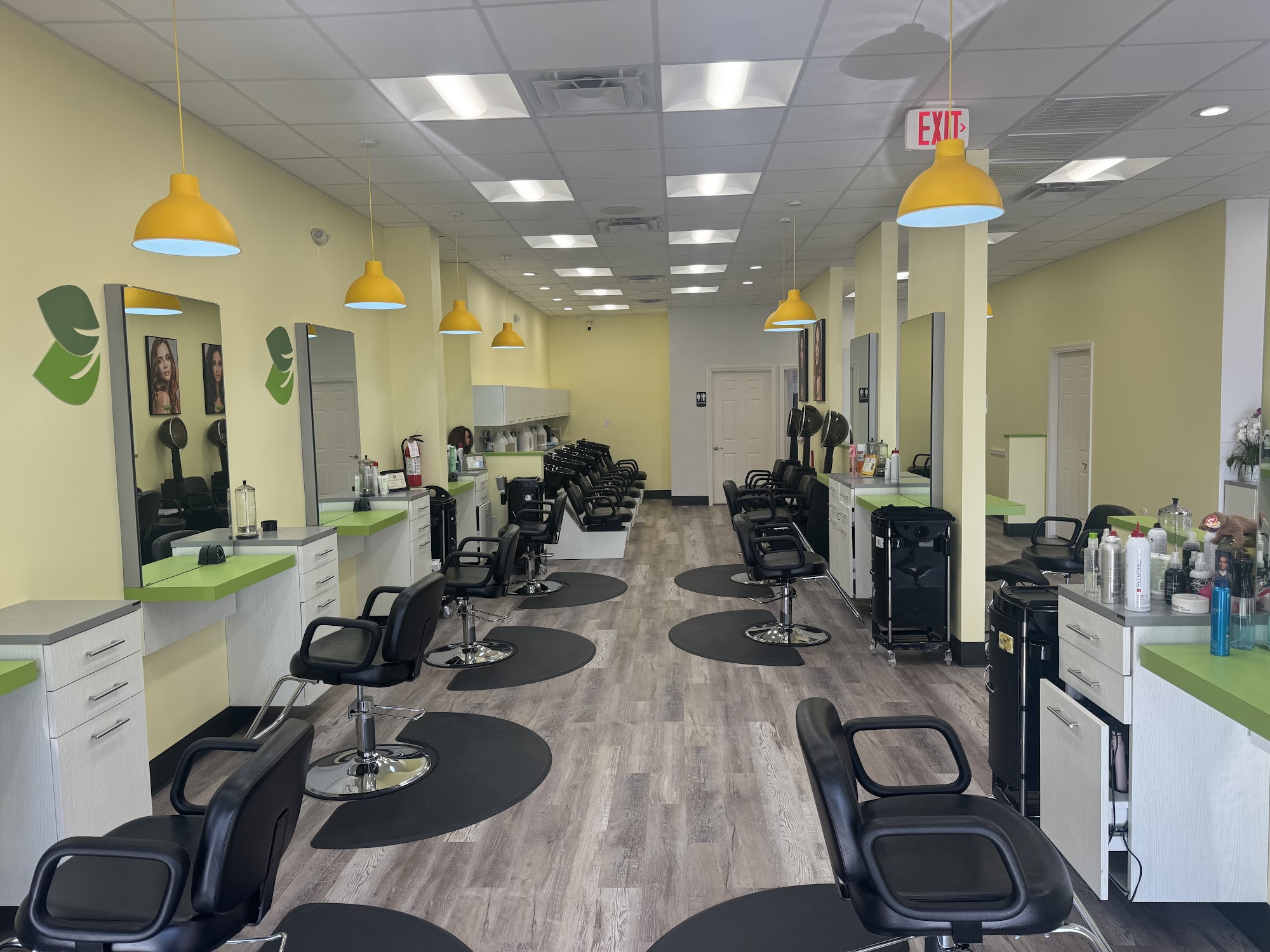 Lemon Tree Hair Salon Plano
