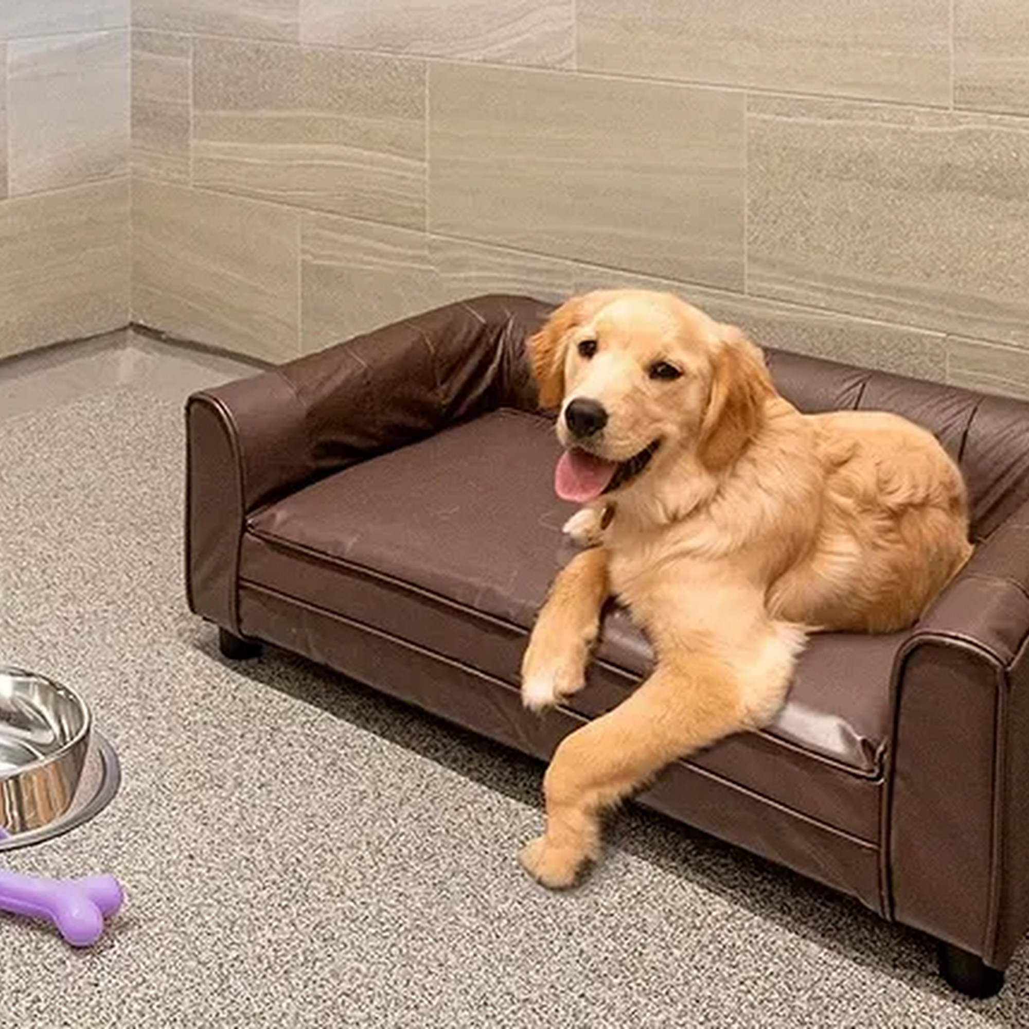 K9 Resorts Luxury Pet Hotel Plano 2201 McDermott Rd, Plano Texas 75025