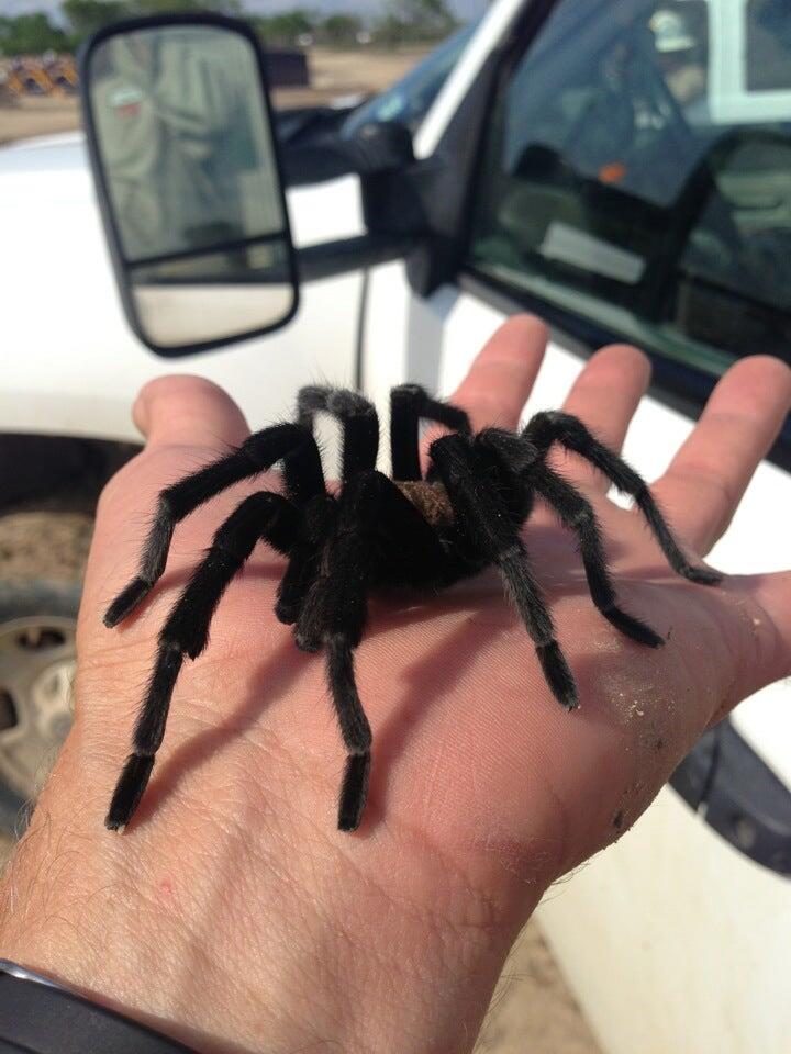 Photo credit: nextdoor