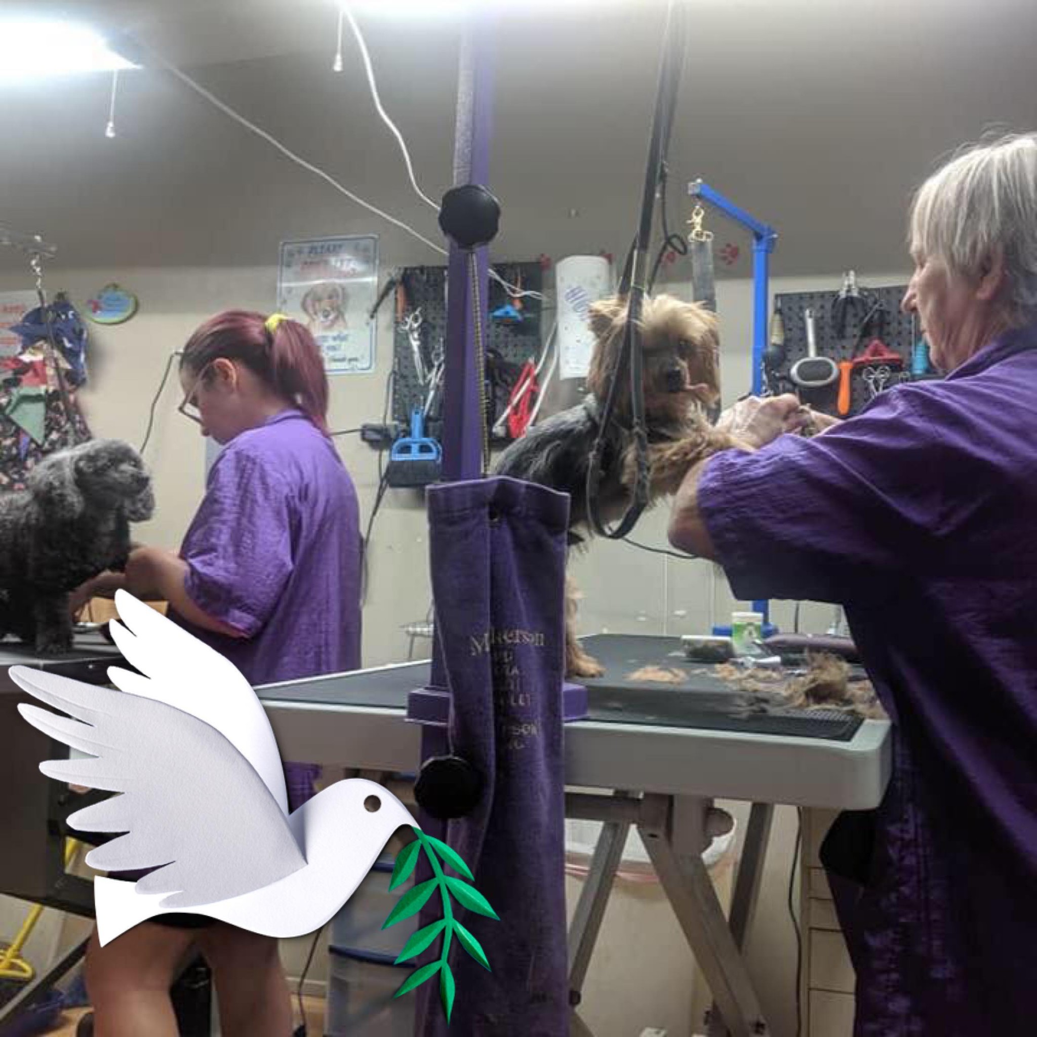 Brenda's Doggie Dos Pleasanton