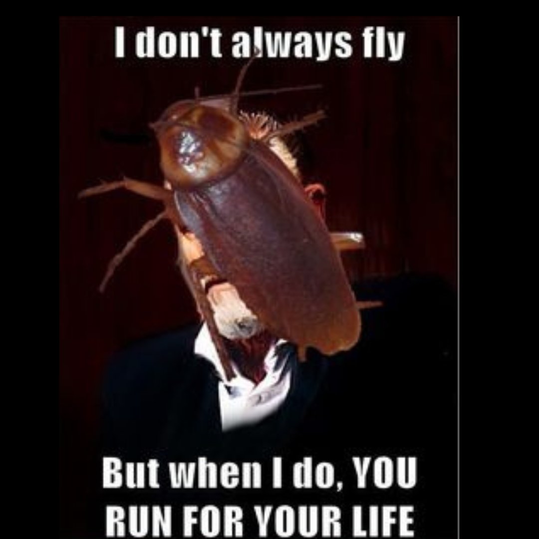 Lion Heart Pest Control