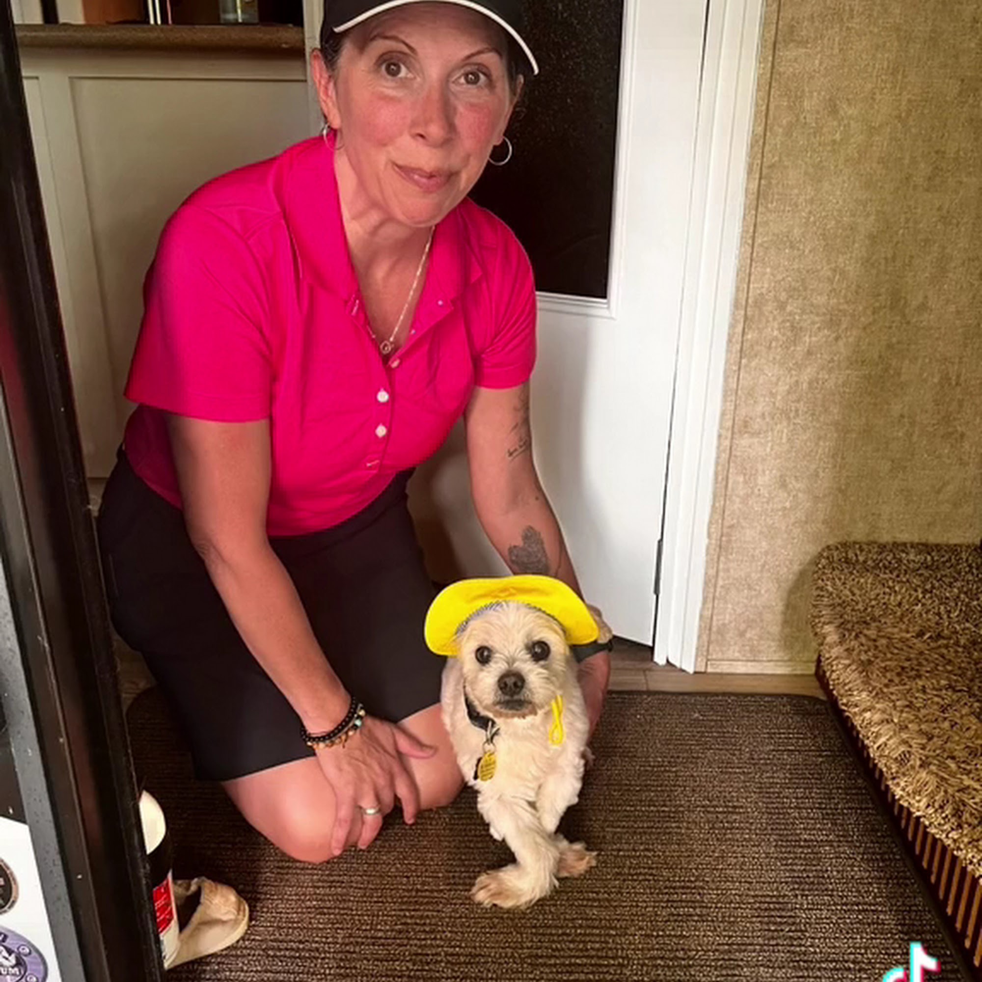 Island Animal Clinic Port Aransas