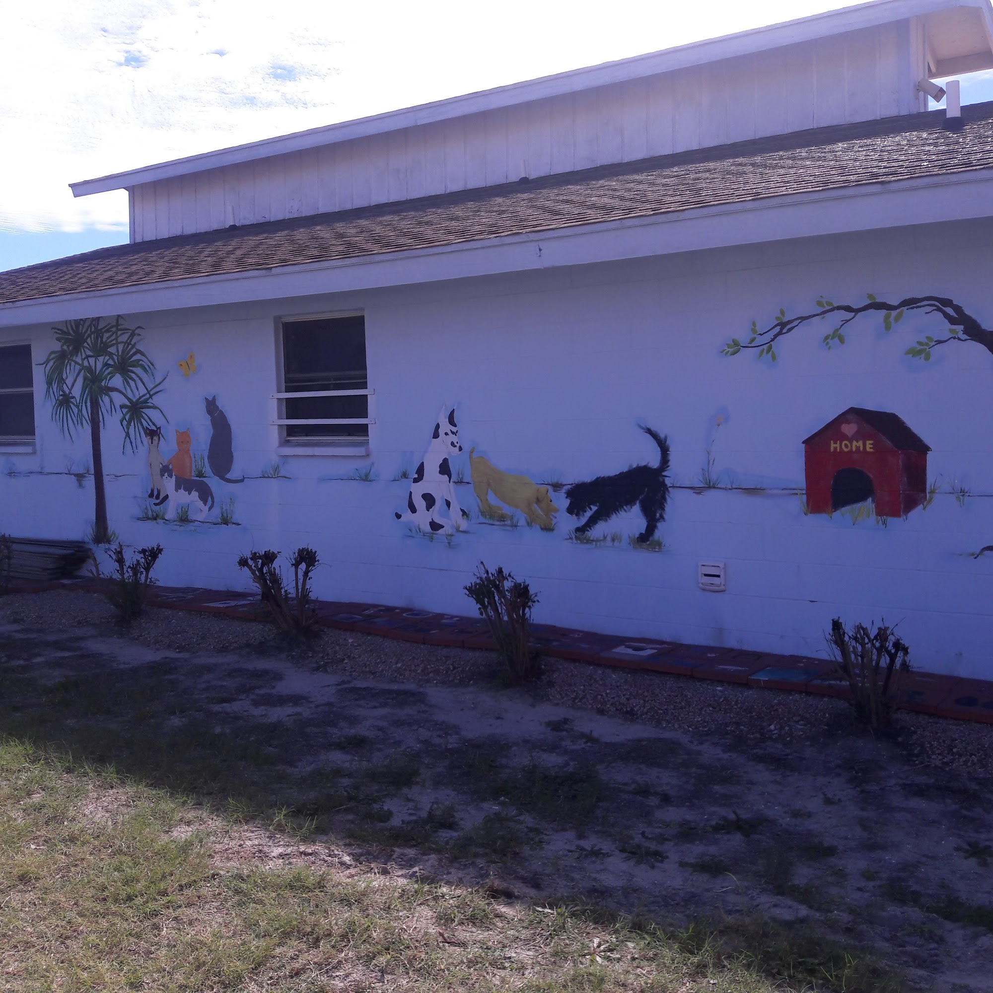 Port Aransas Animal Shelter Port Aransas