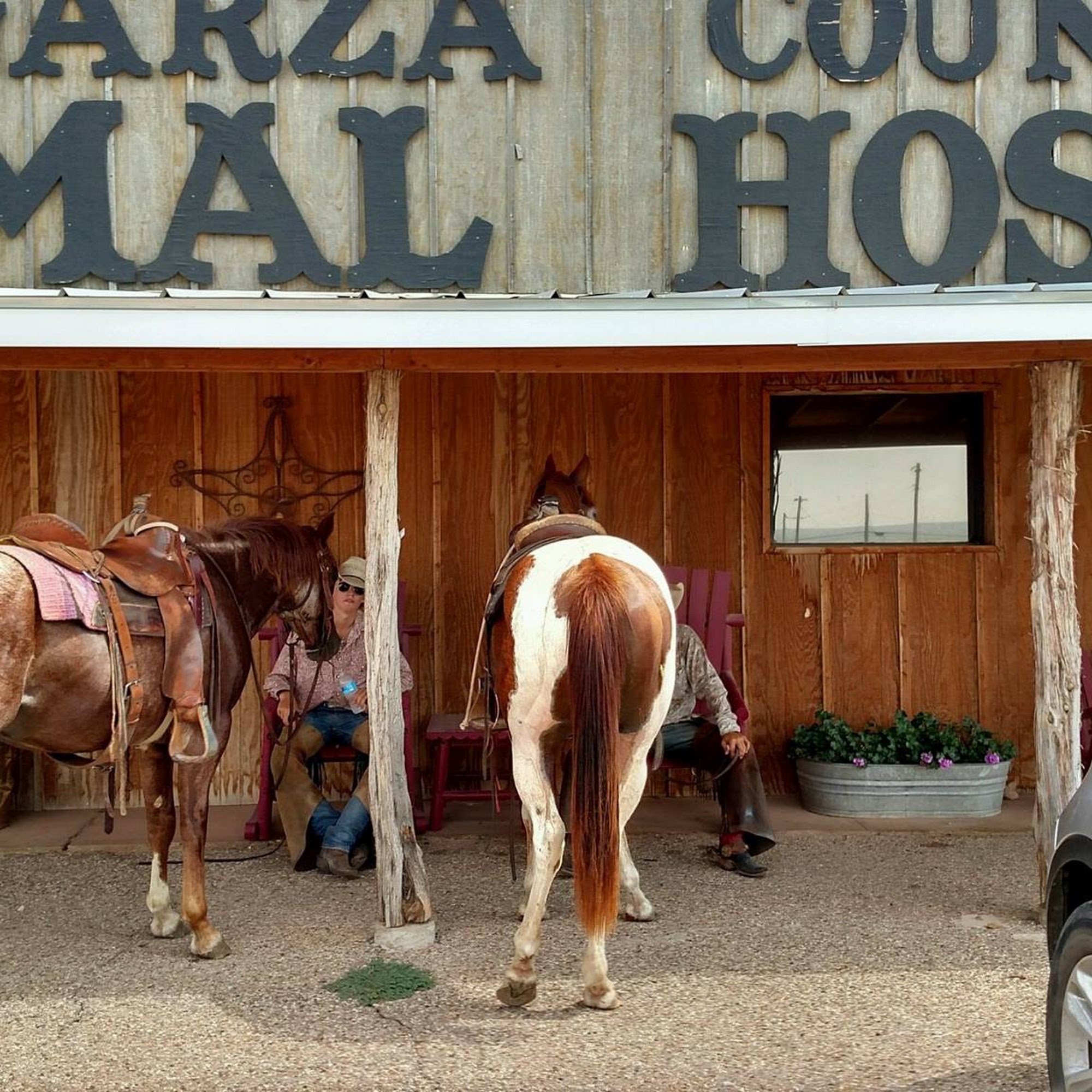 Garza County Animal Hospital, pc Post
