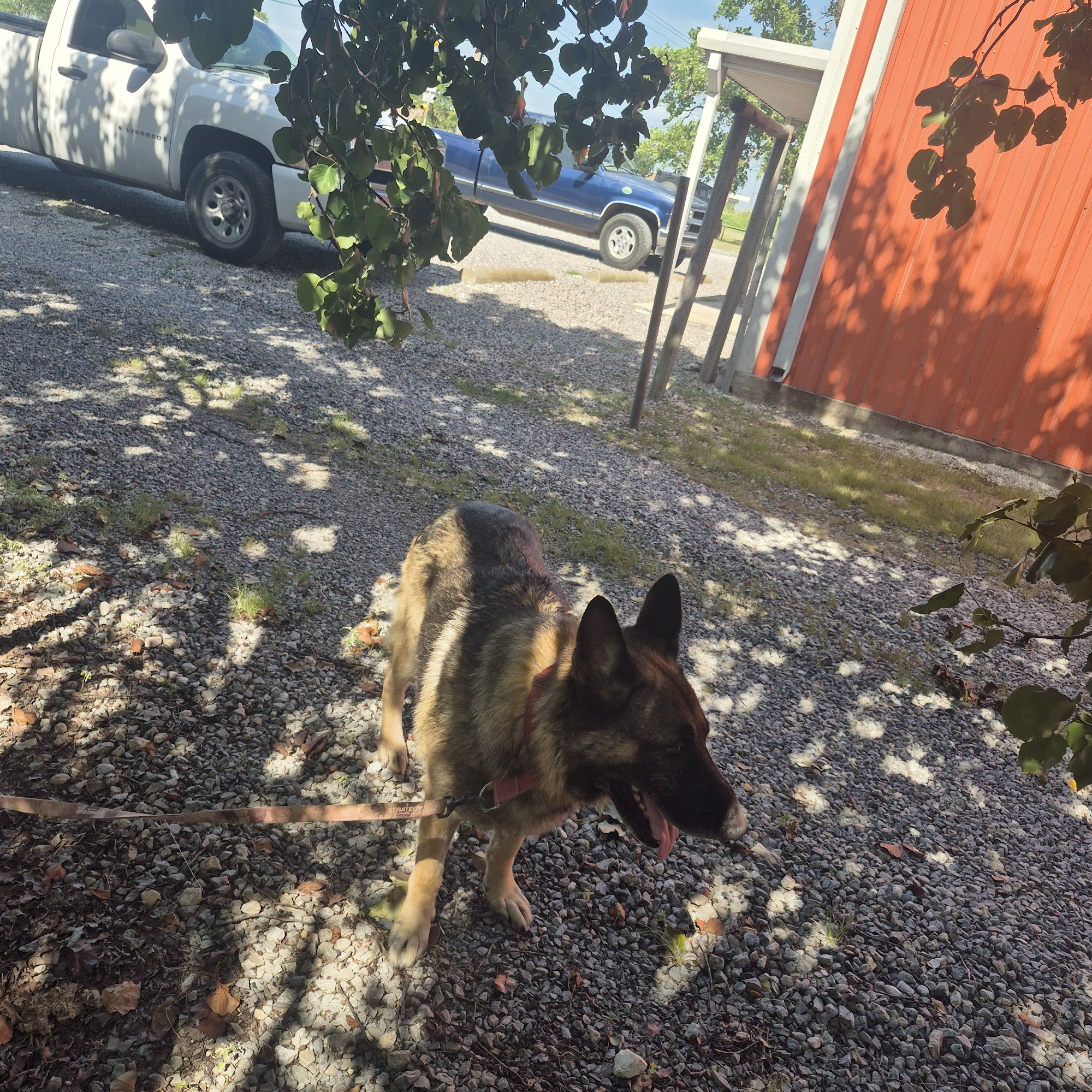 Princeton Veterinary Clinic Princeton