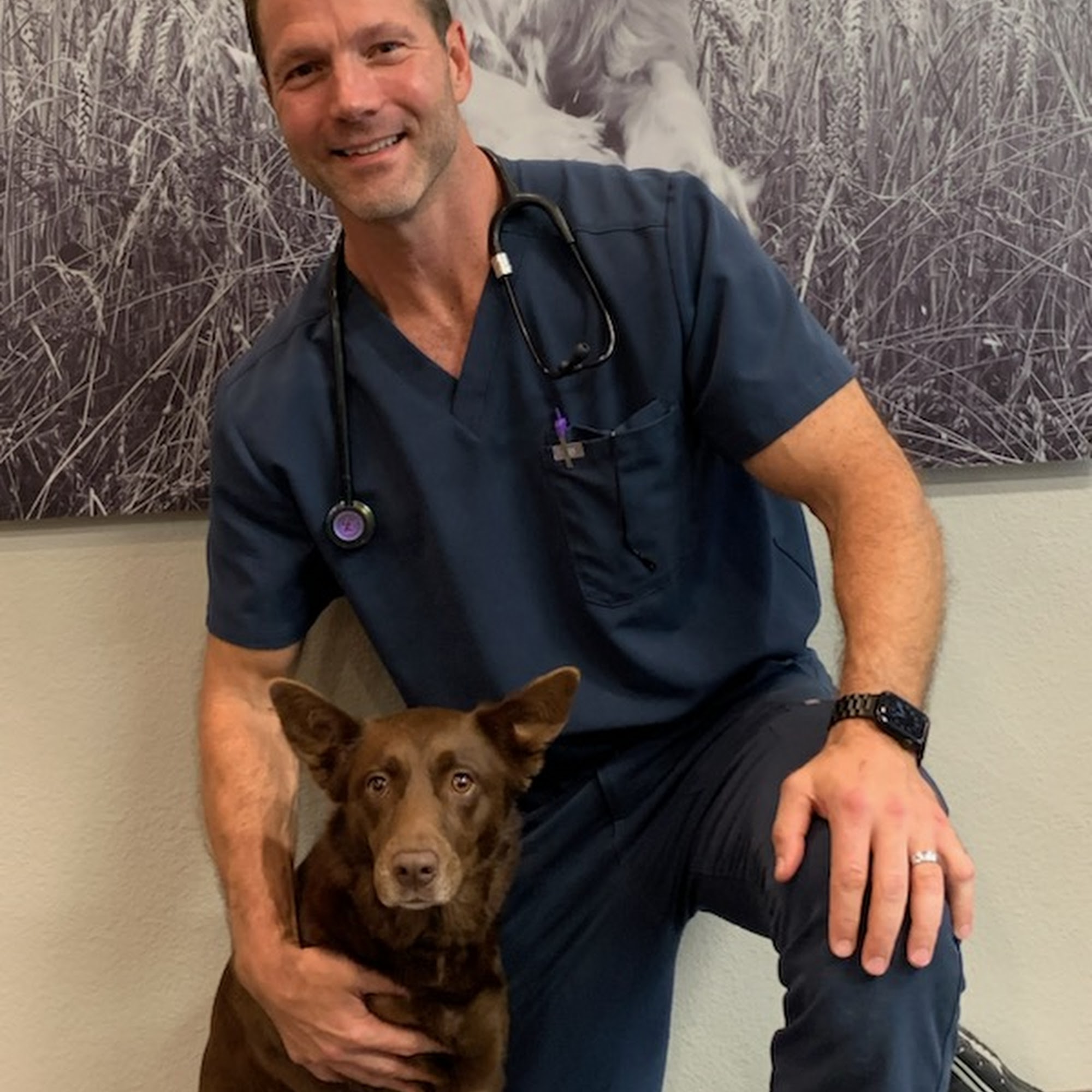 Total Care Animal Hospital Prosper