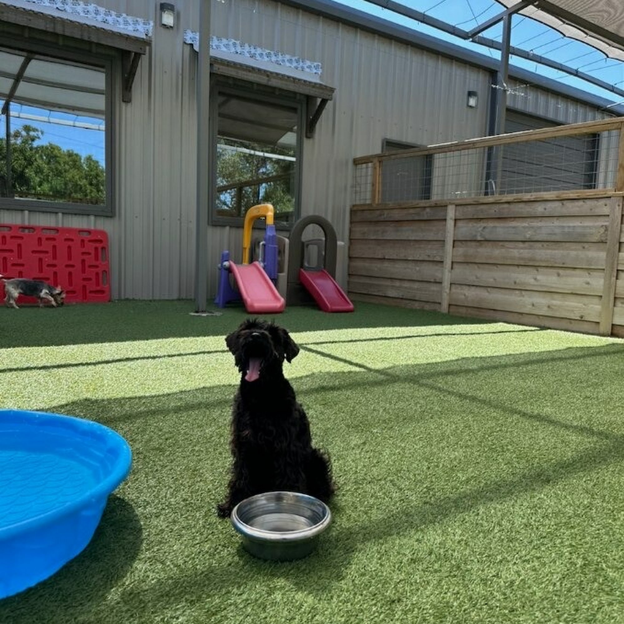 Digg Pet Resort Prosper