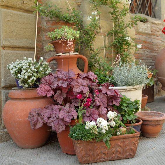 JC's Landscaping LLC