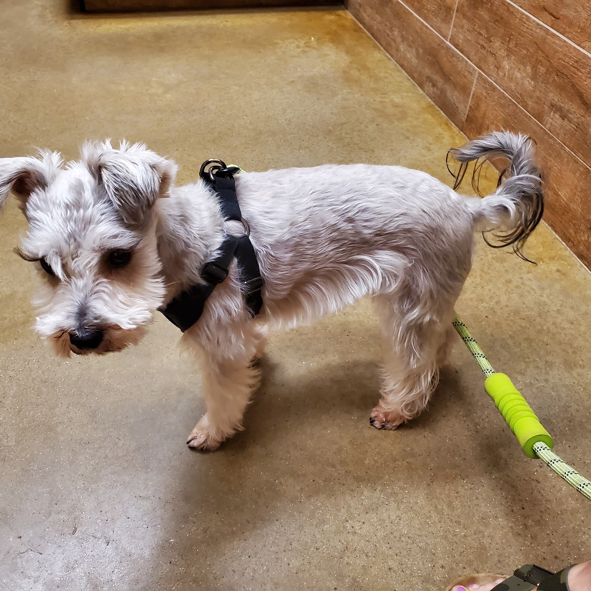 Canyon Creek Animal Clinic Richardson