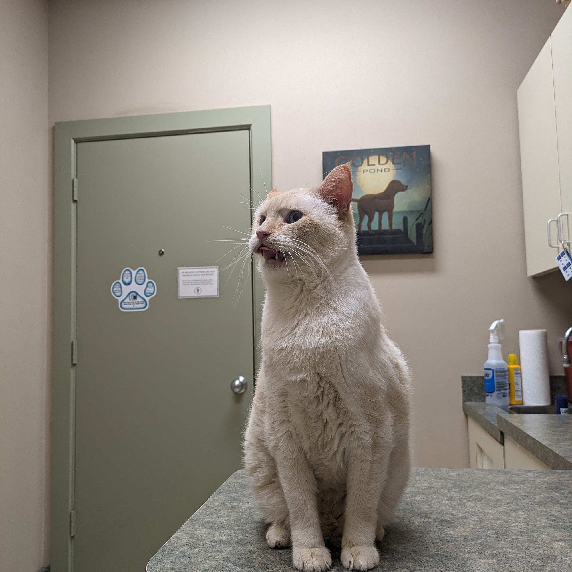 Animal Medical Center of Richardson Richardson