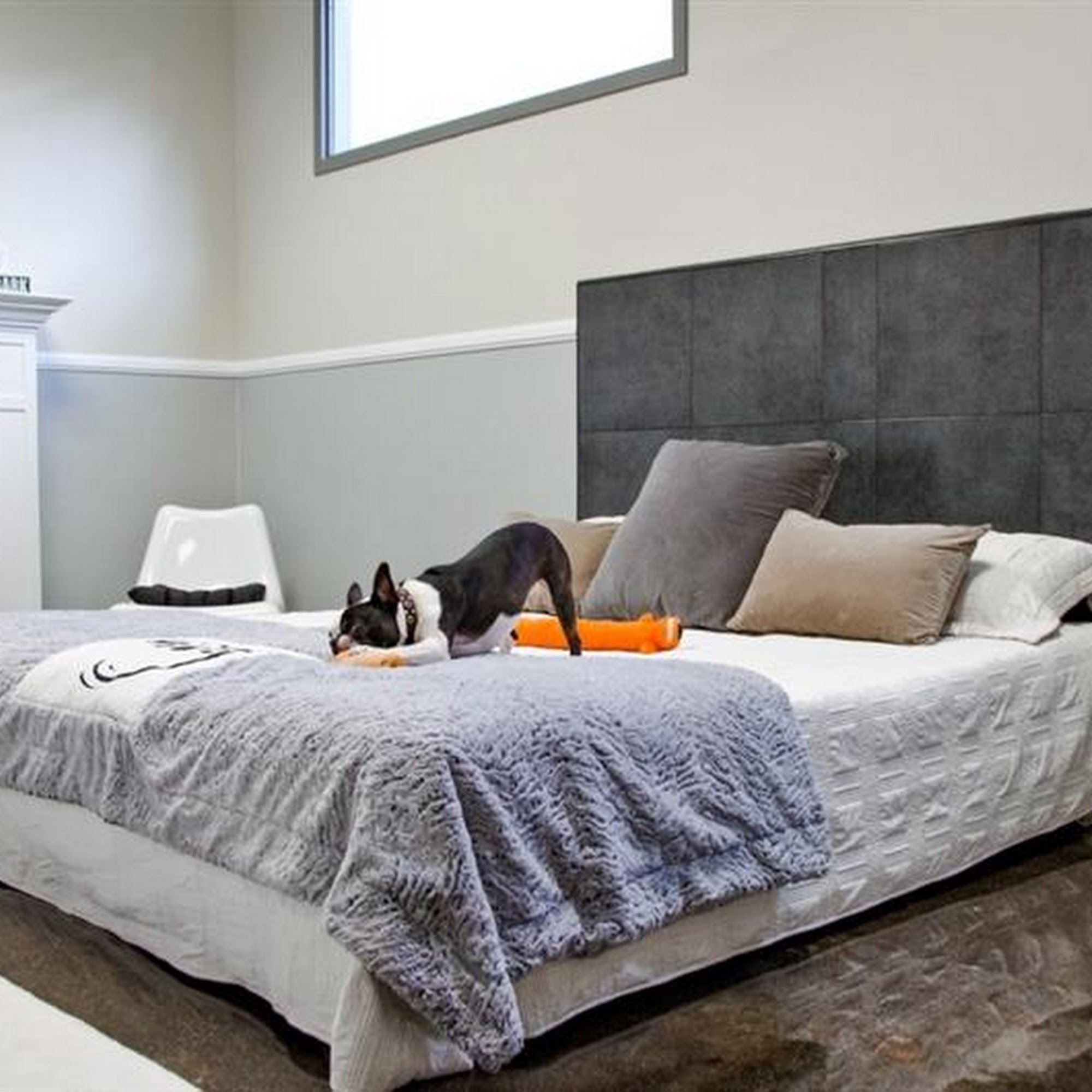 Wag Hotels - Richardson Richardson