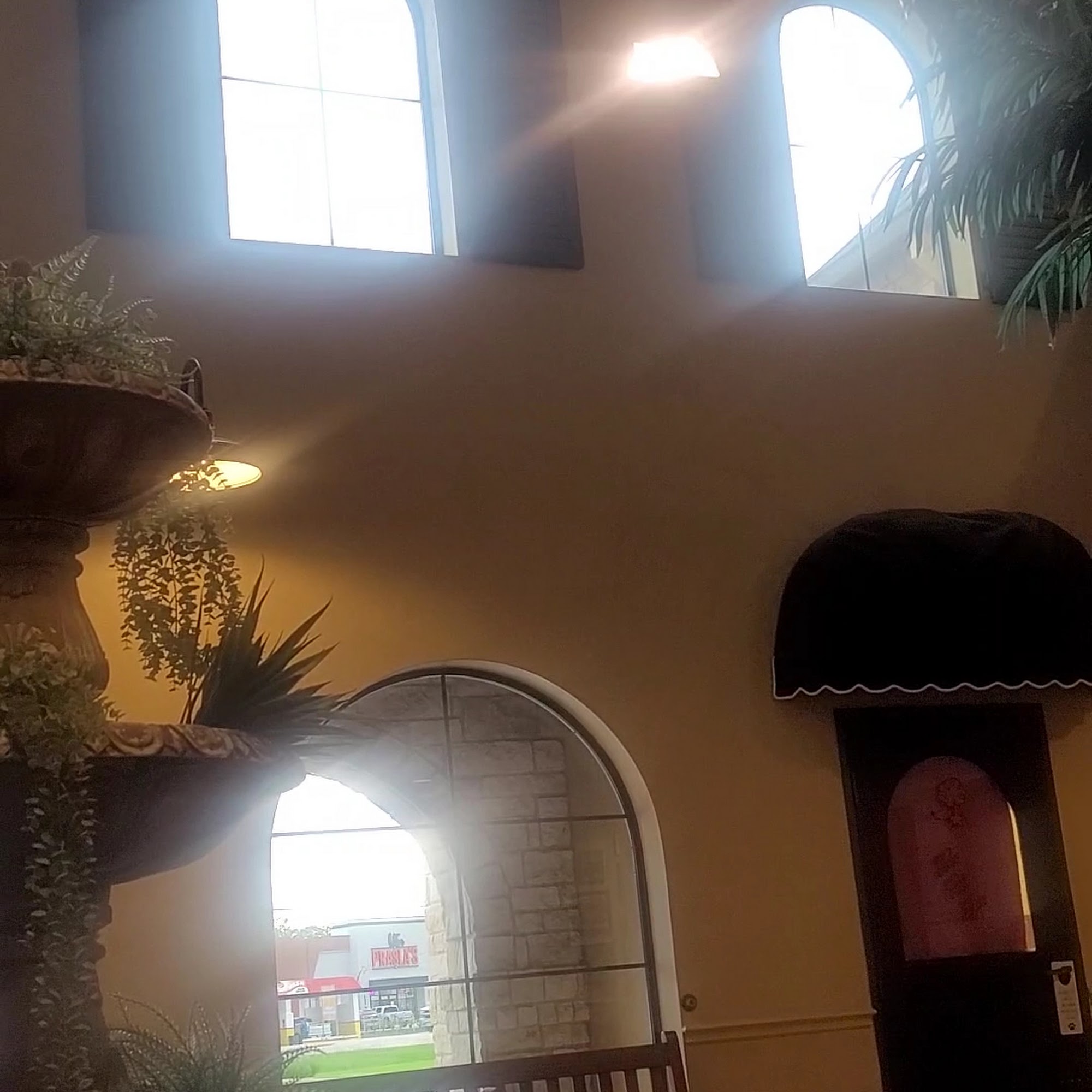 Rose-Rich Veterinary Clinic Richmond