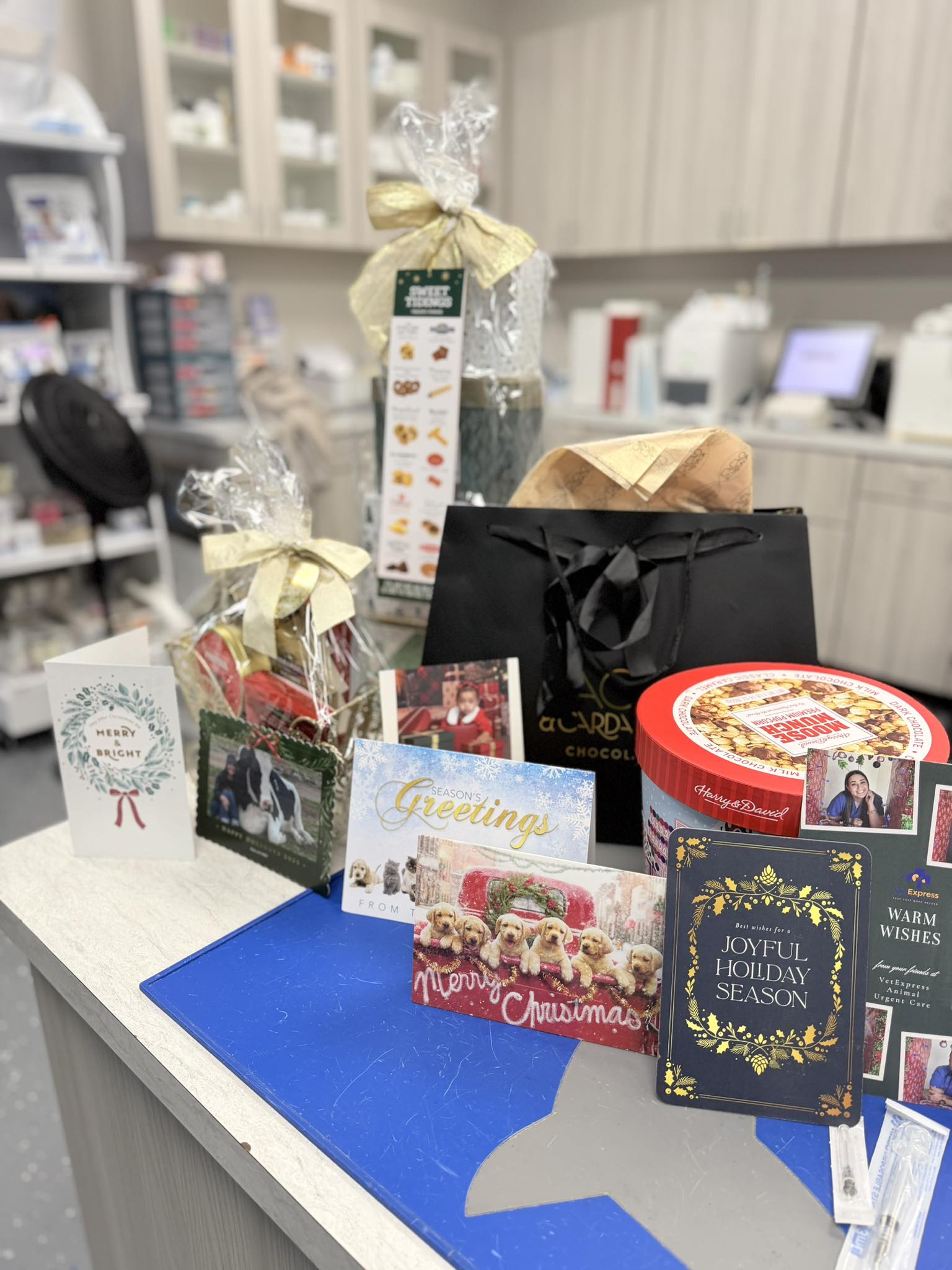 Embrace Veterinary Care-Animal Hospital-Richmond-Aliana Richmond