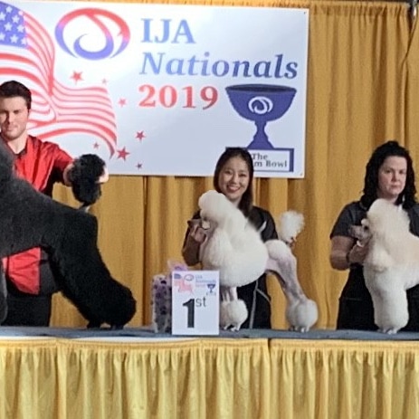 Yeon The Groomer Richmond