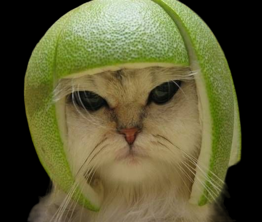 My First Drive Driving School