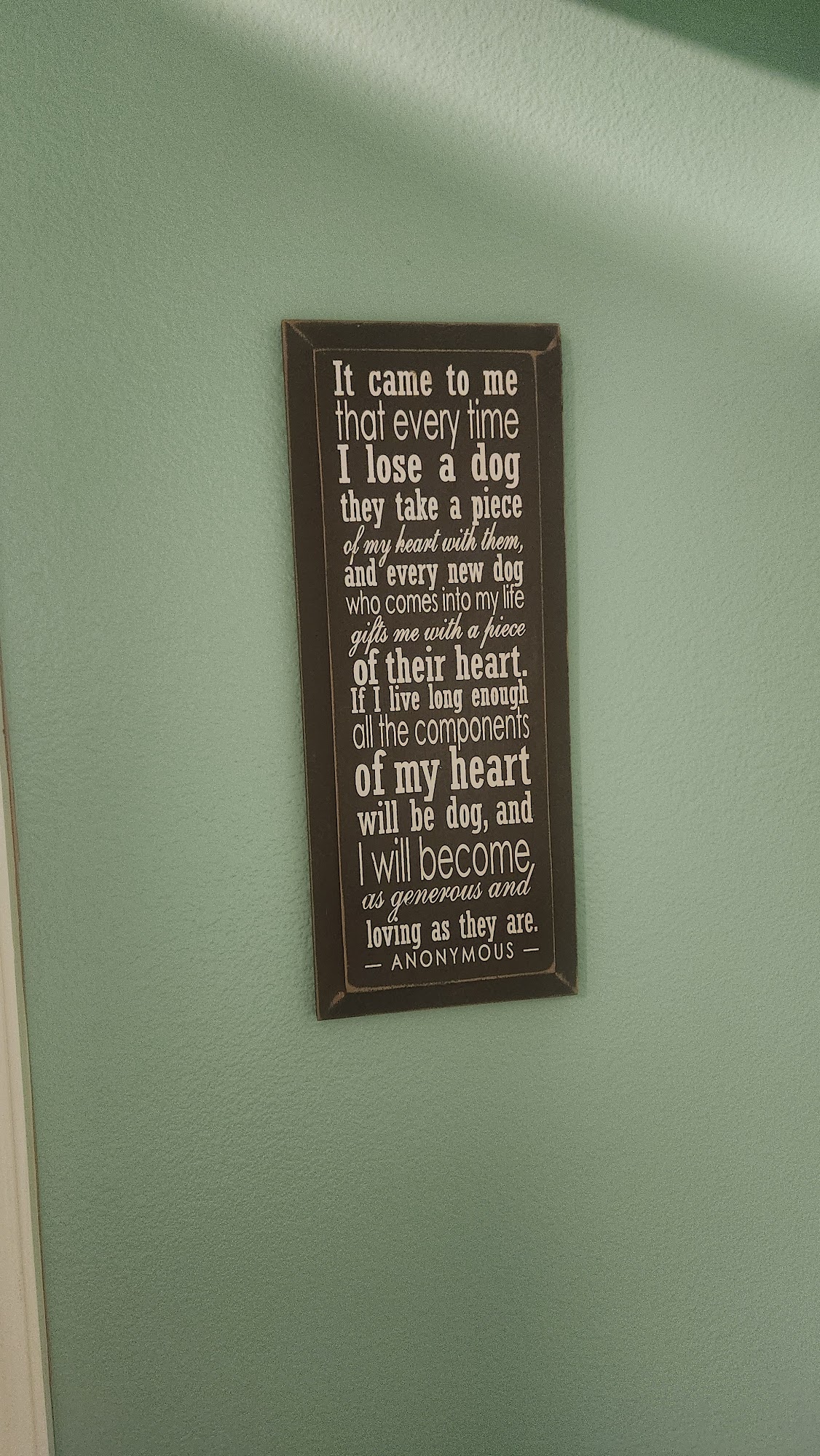 Faith & Healing Vet Health Cr Richwood