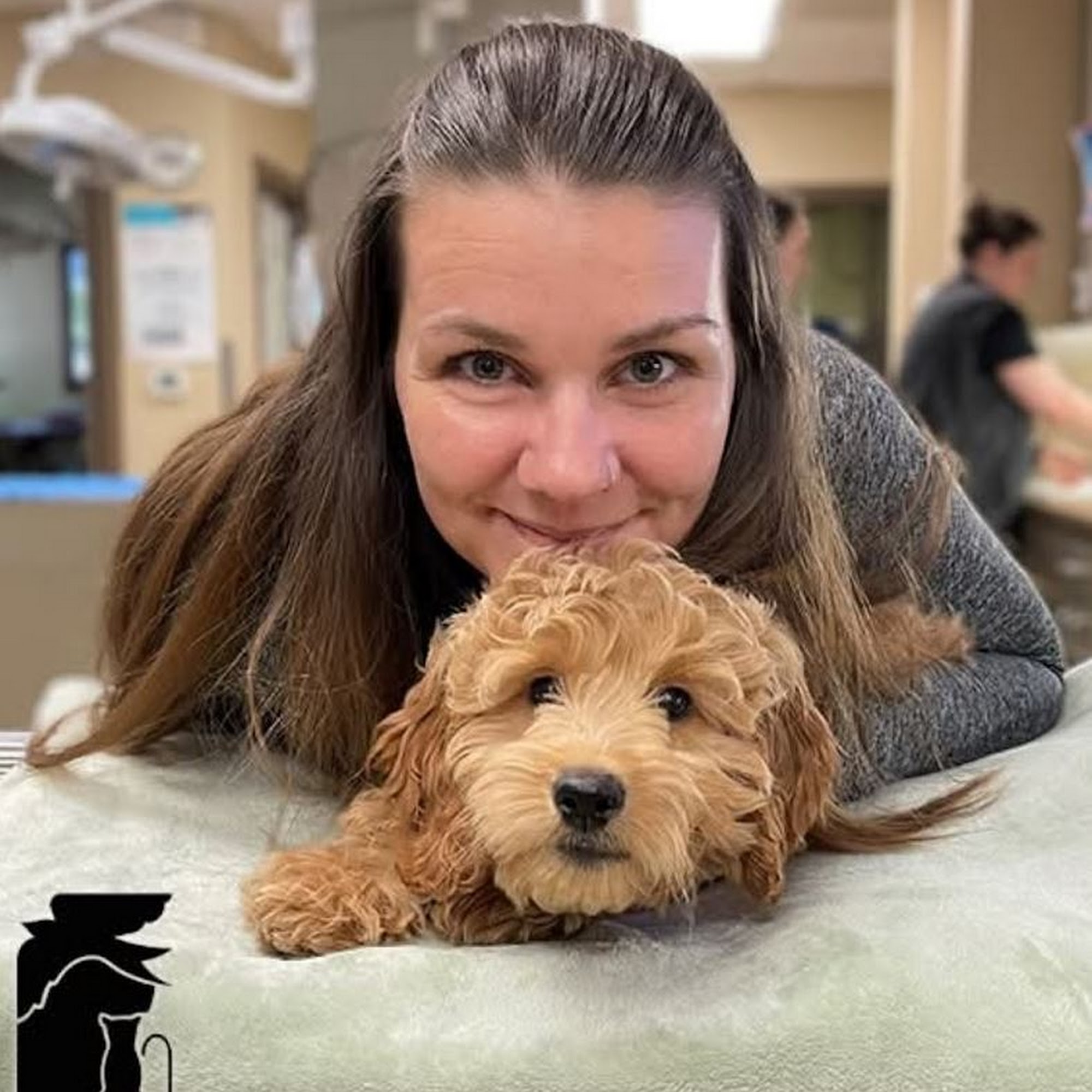 Roanoke Animal Hospital Roanoke