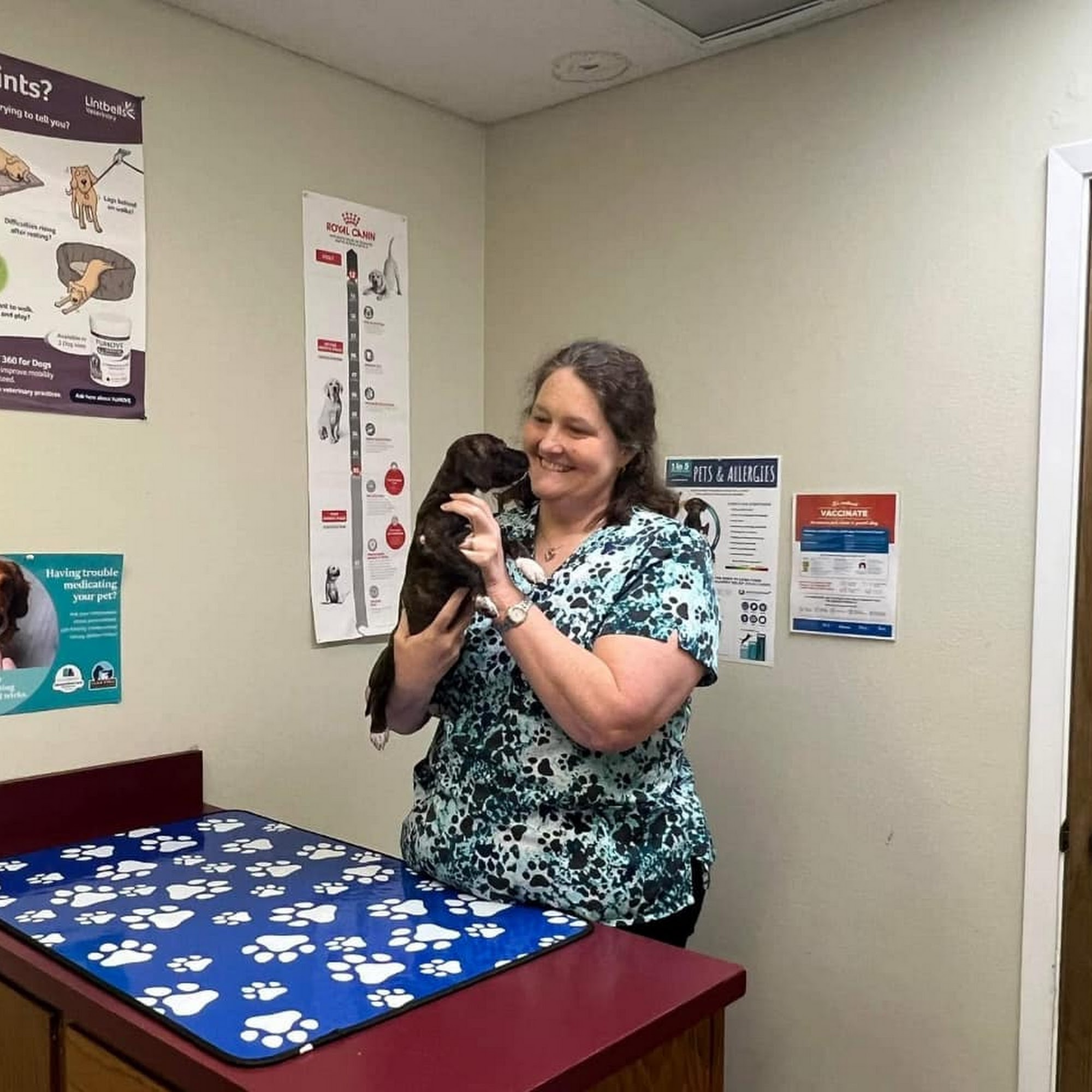 Robinson Drive Animal Hospital Robinson