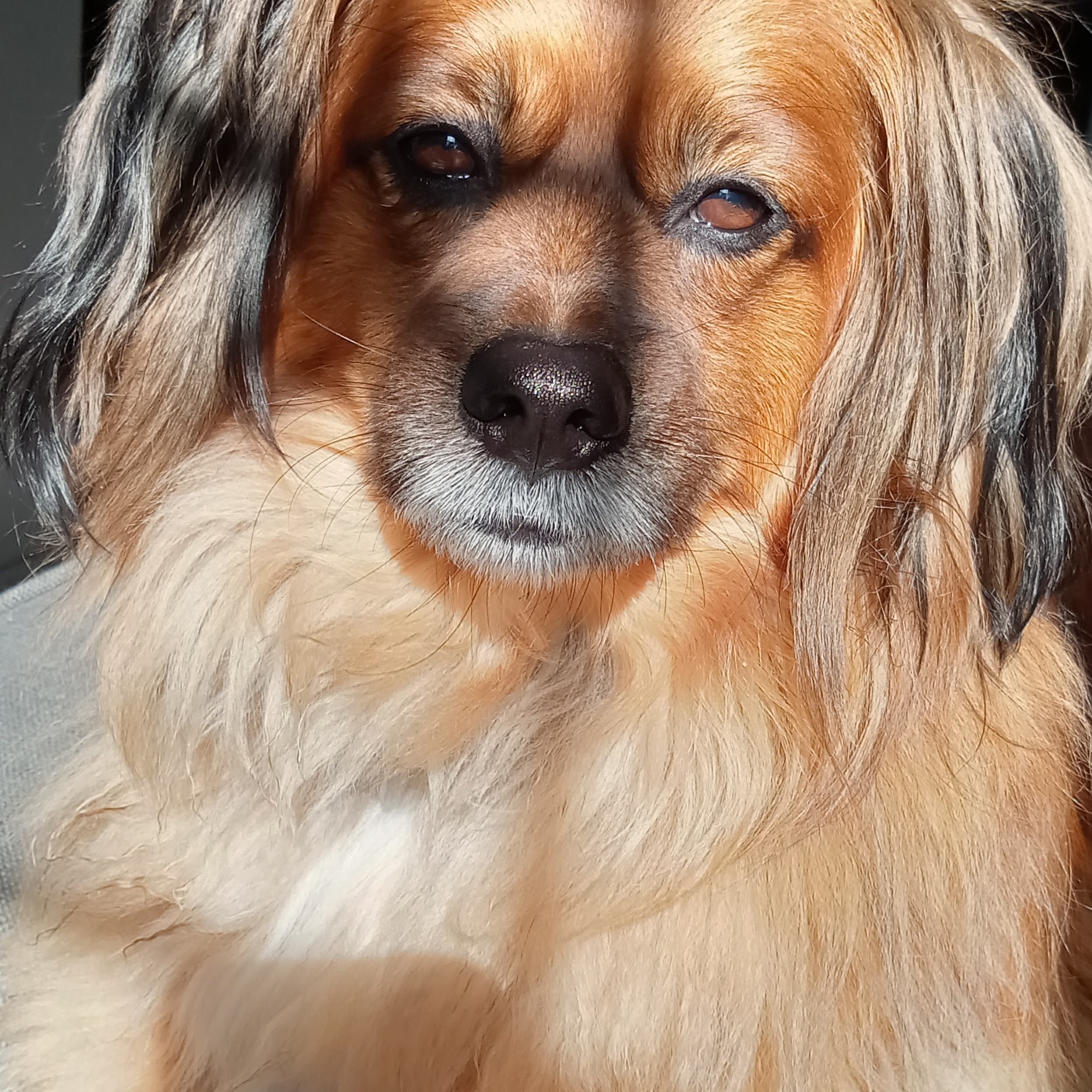 Companion Animal Clinic Rockport