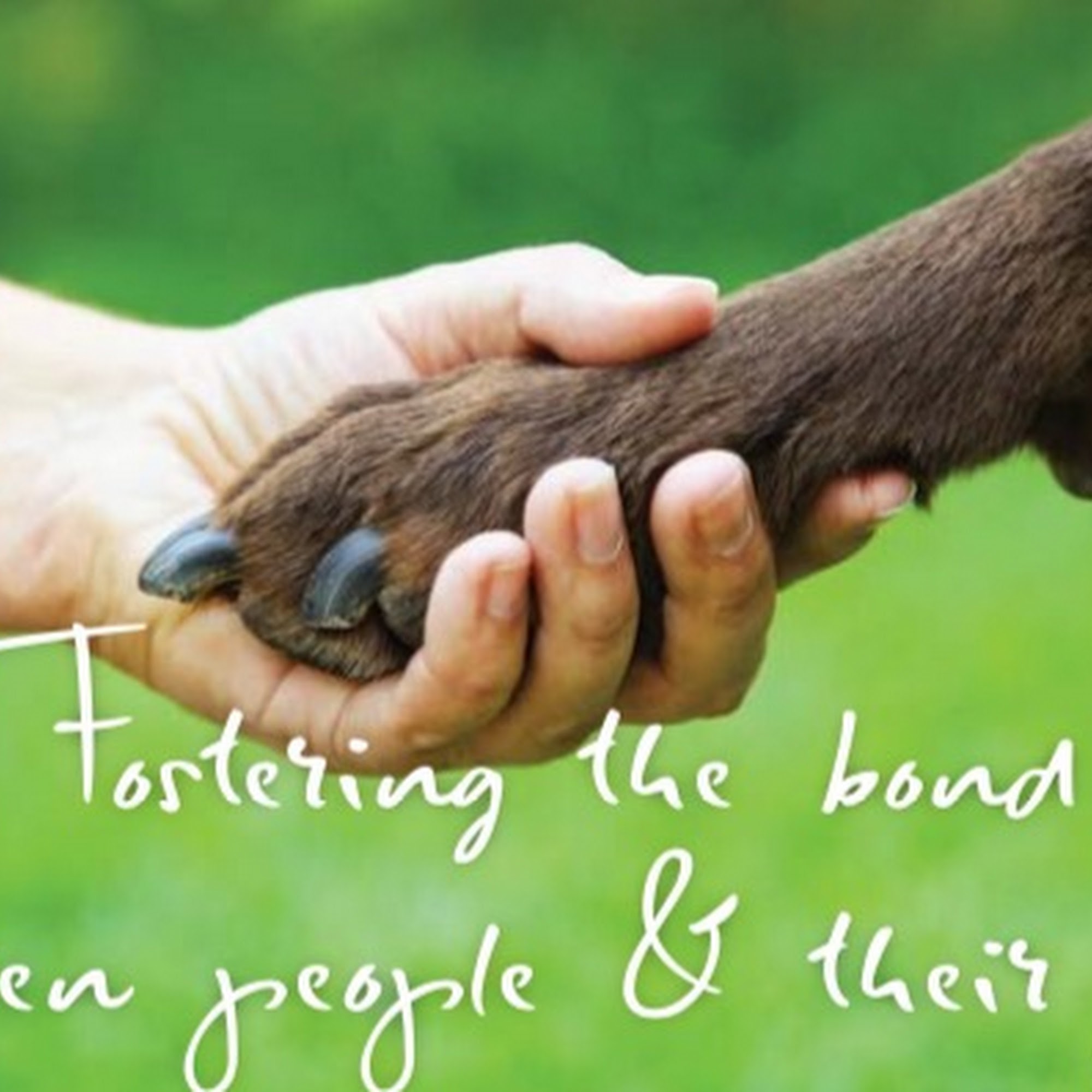 Rockwall County Veterinary Clinic Rockwall