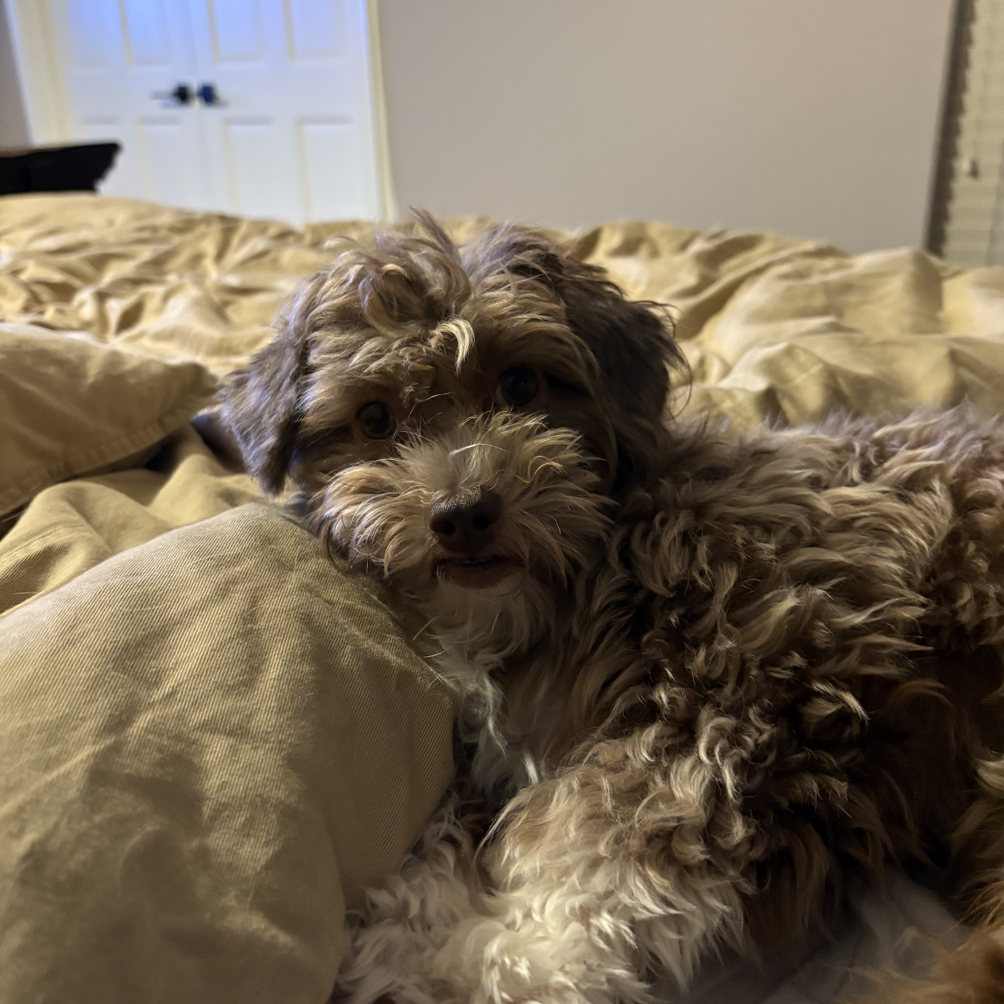 Hester w N DVM Rosenberg