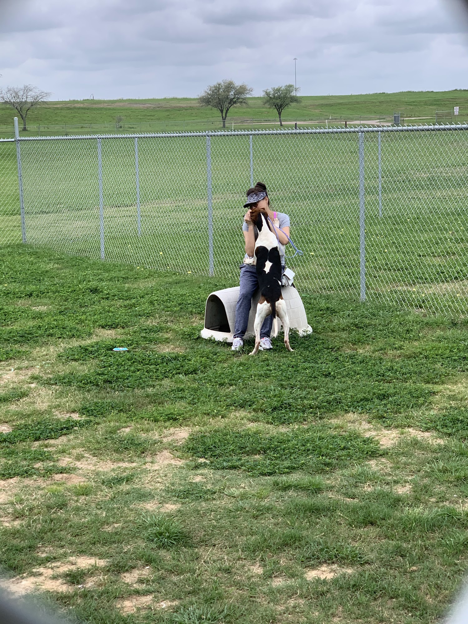 Fort Bend County Animal Services Rosenberg