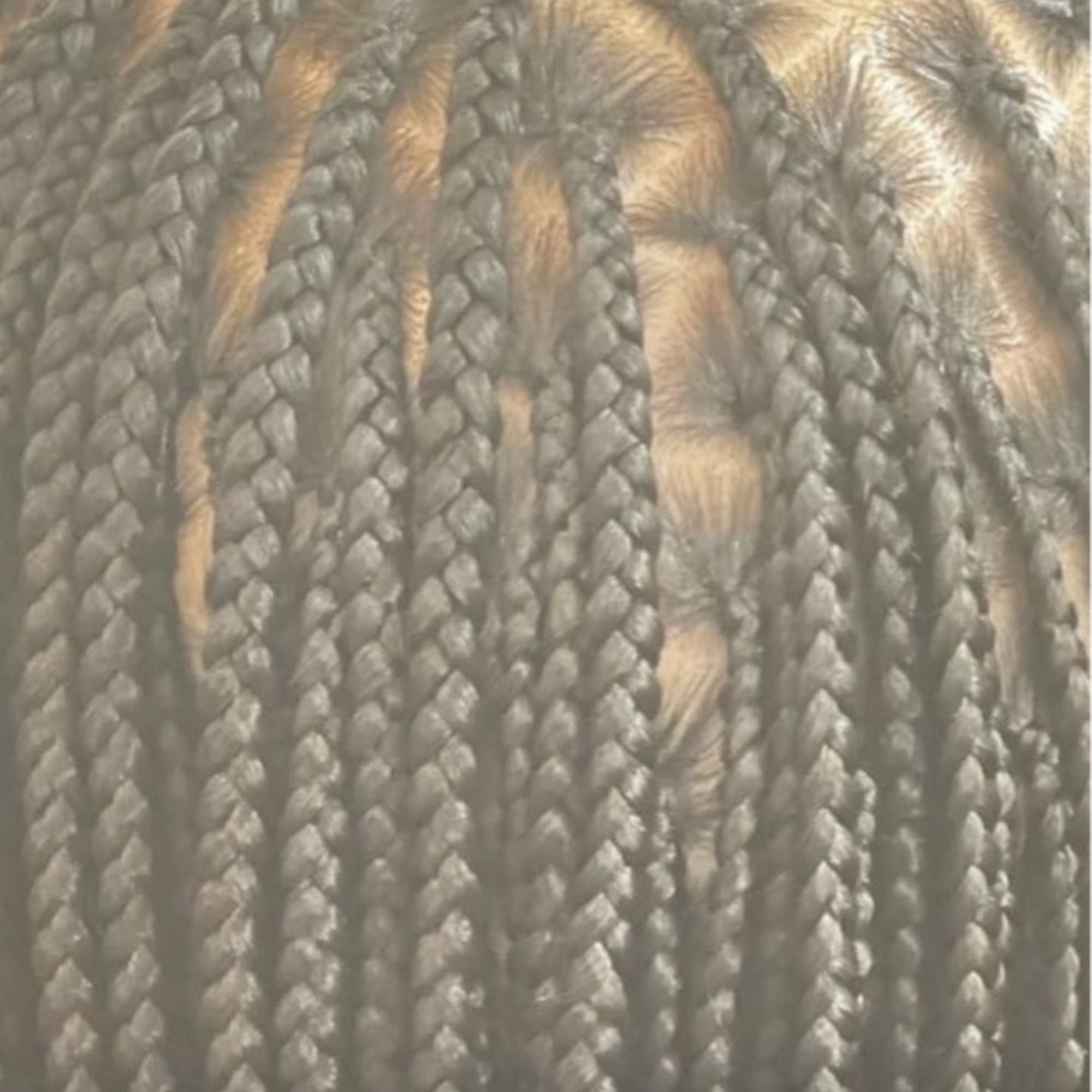 SHEVBRAIDS LLC 1307 Chisholm Trail Rd, Round Rock Texas 78681