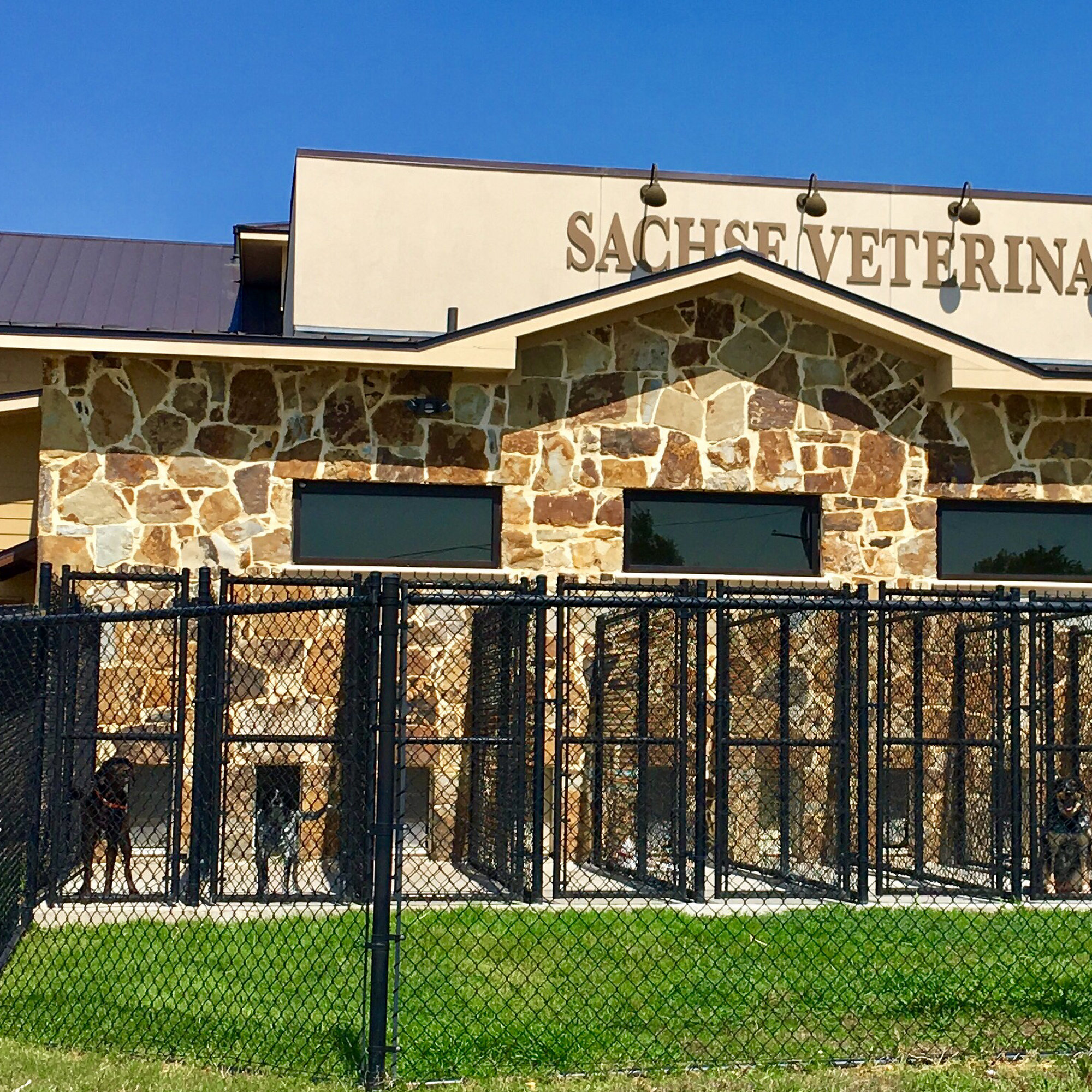 Sachse Veterinary Hospital Sachse