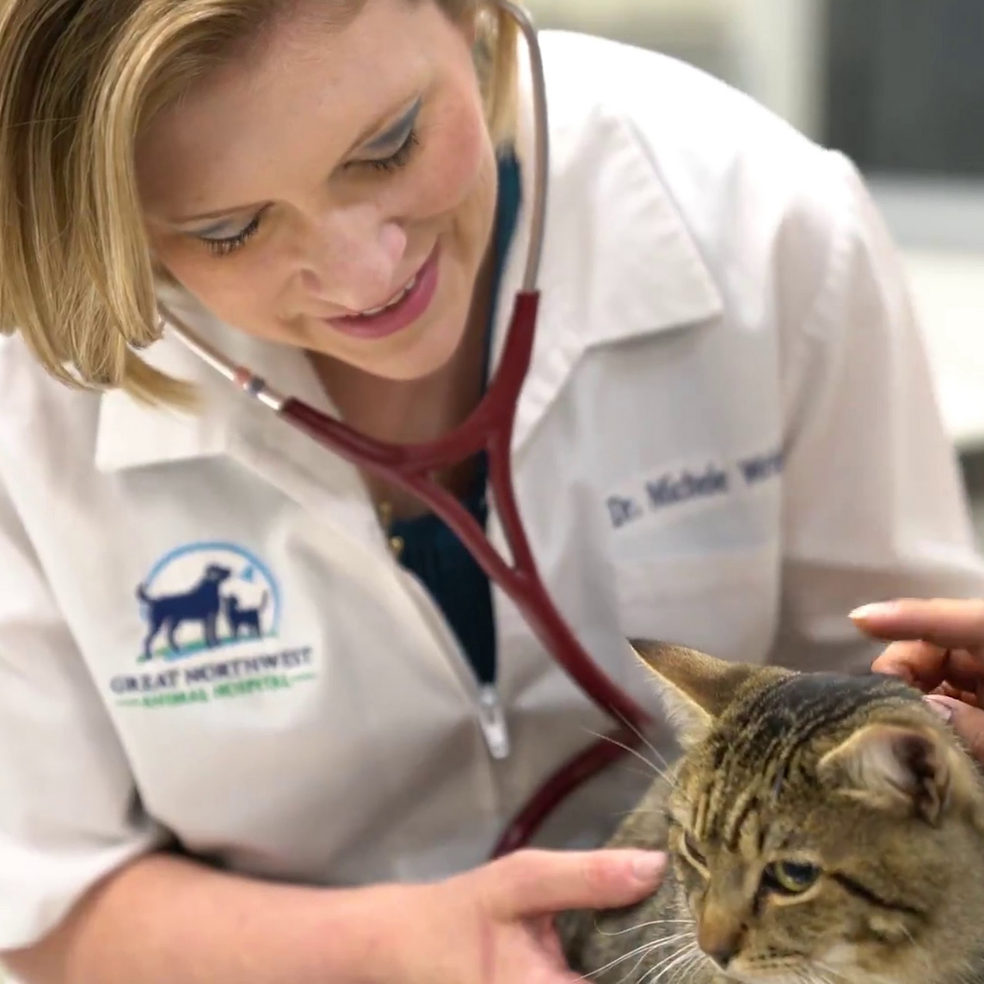 Great Northwest Animal Hospital San Antonio