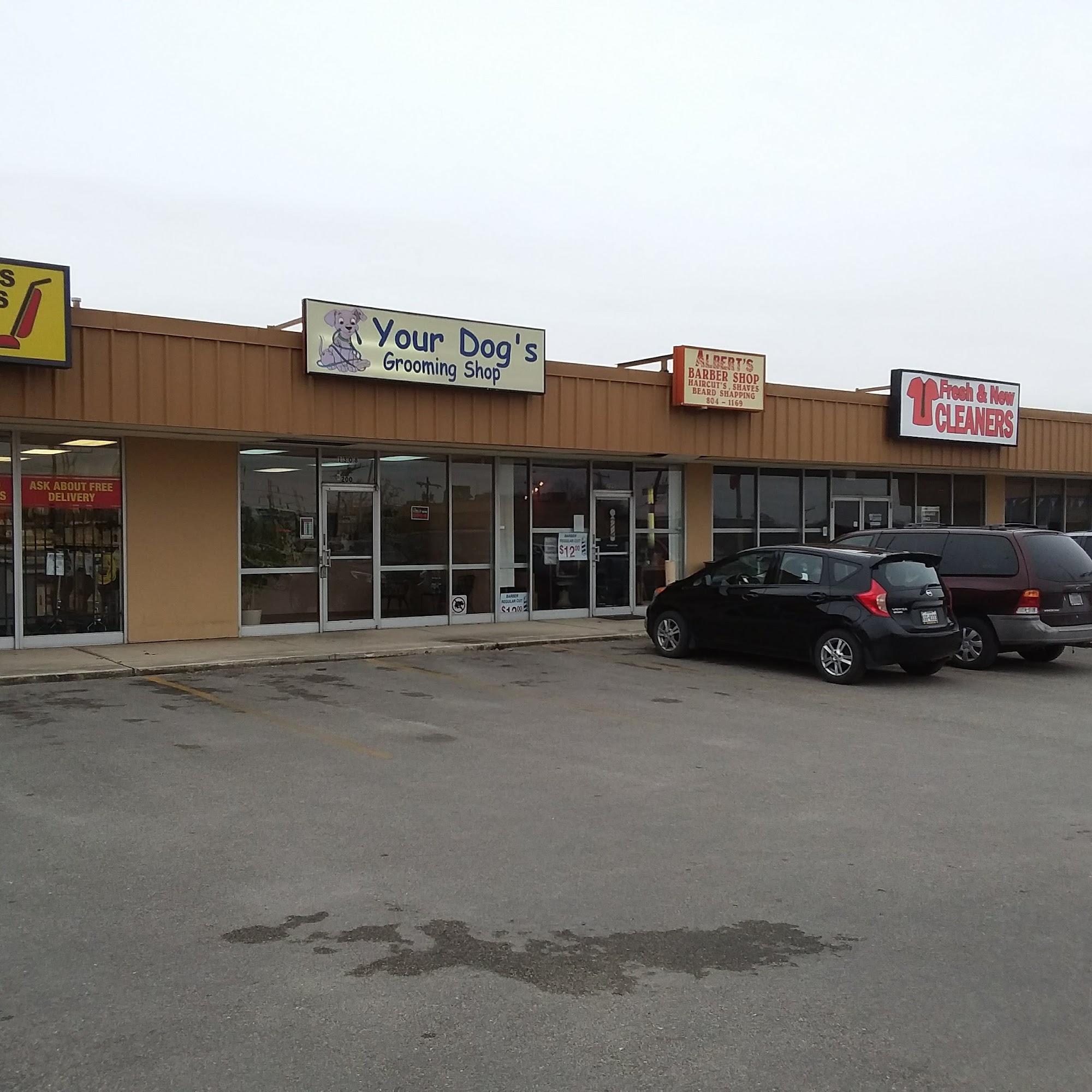 Your Dog's Grooming Shop San Antonio