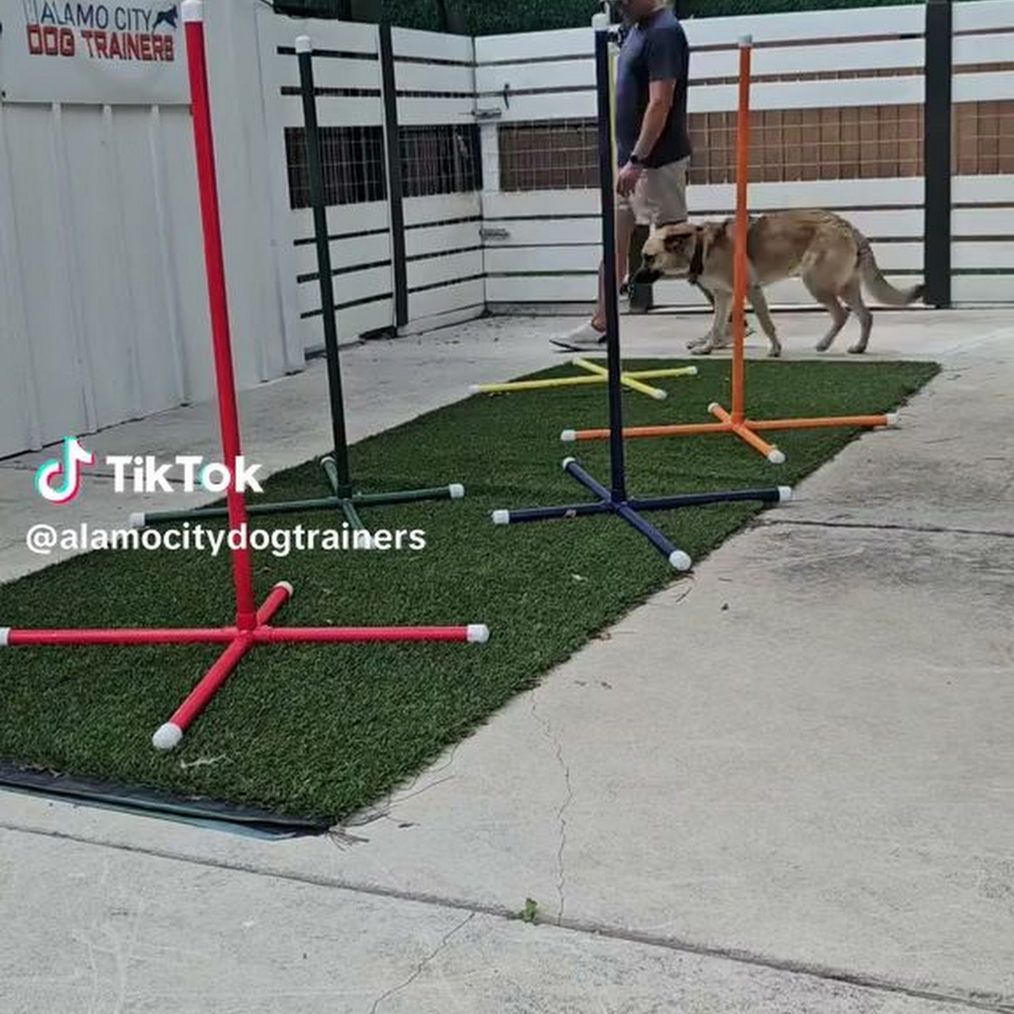 Alamo City Dog Trainers San Antonio