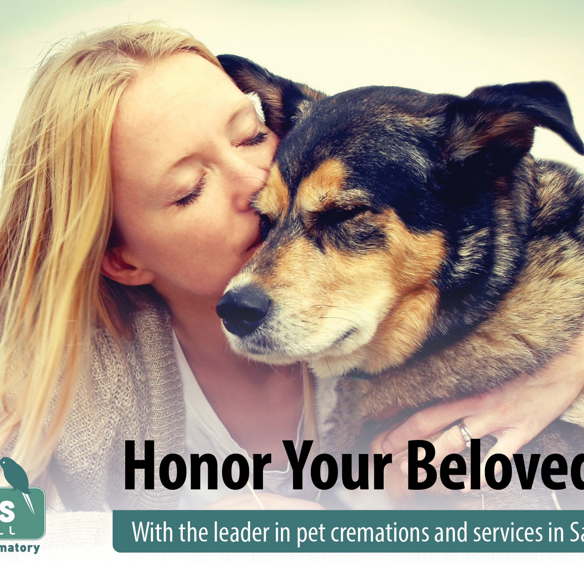 All Paws Great & Small Pet Funeral Home & Crematory San Antonio