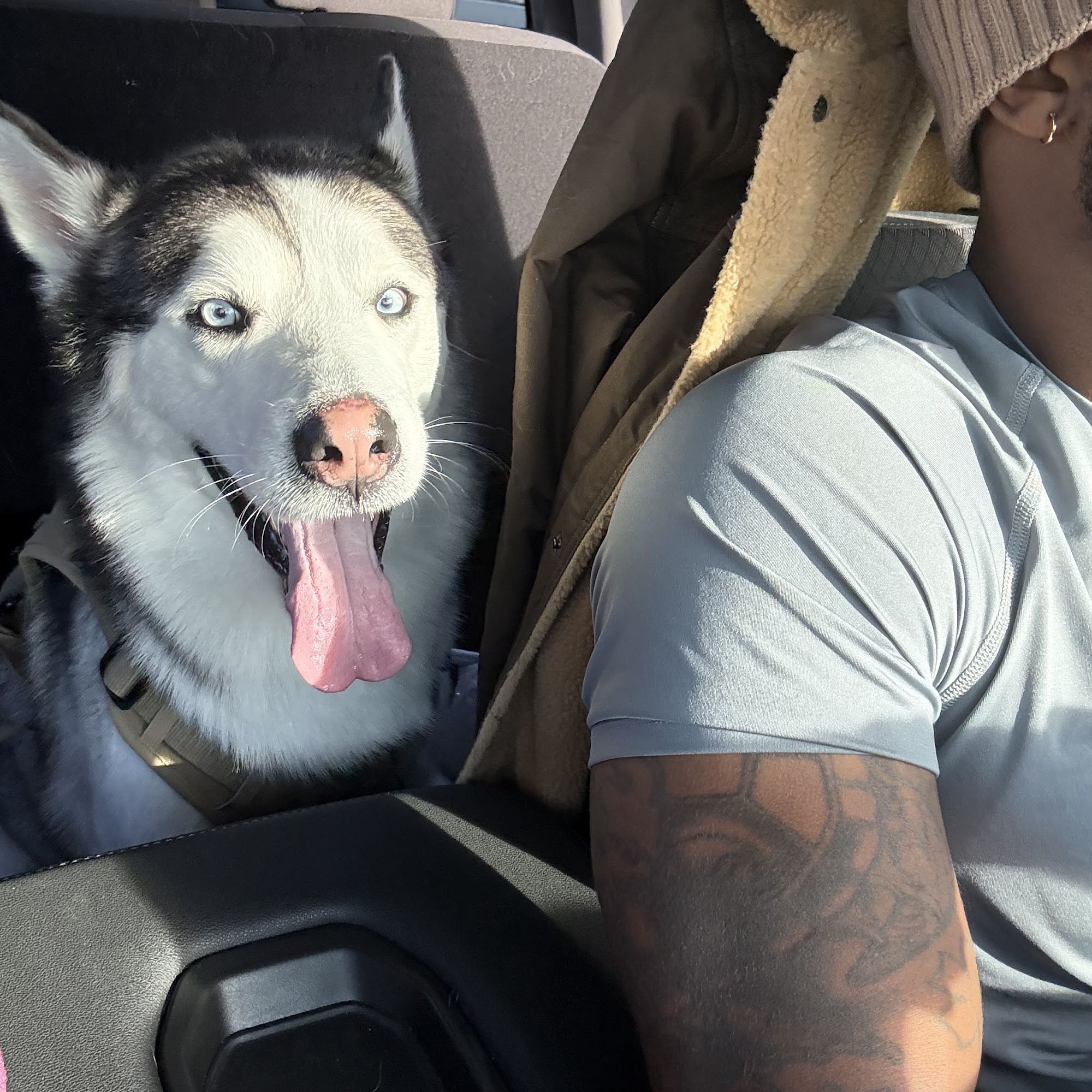 Crystal’s Gentle Grooming San Antonio