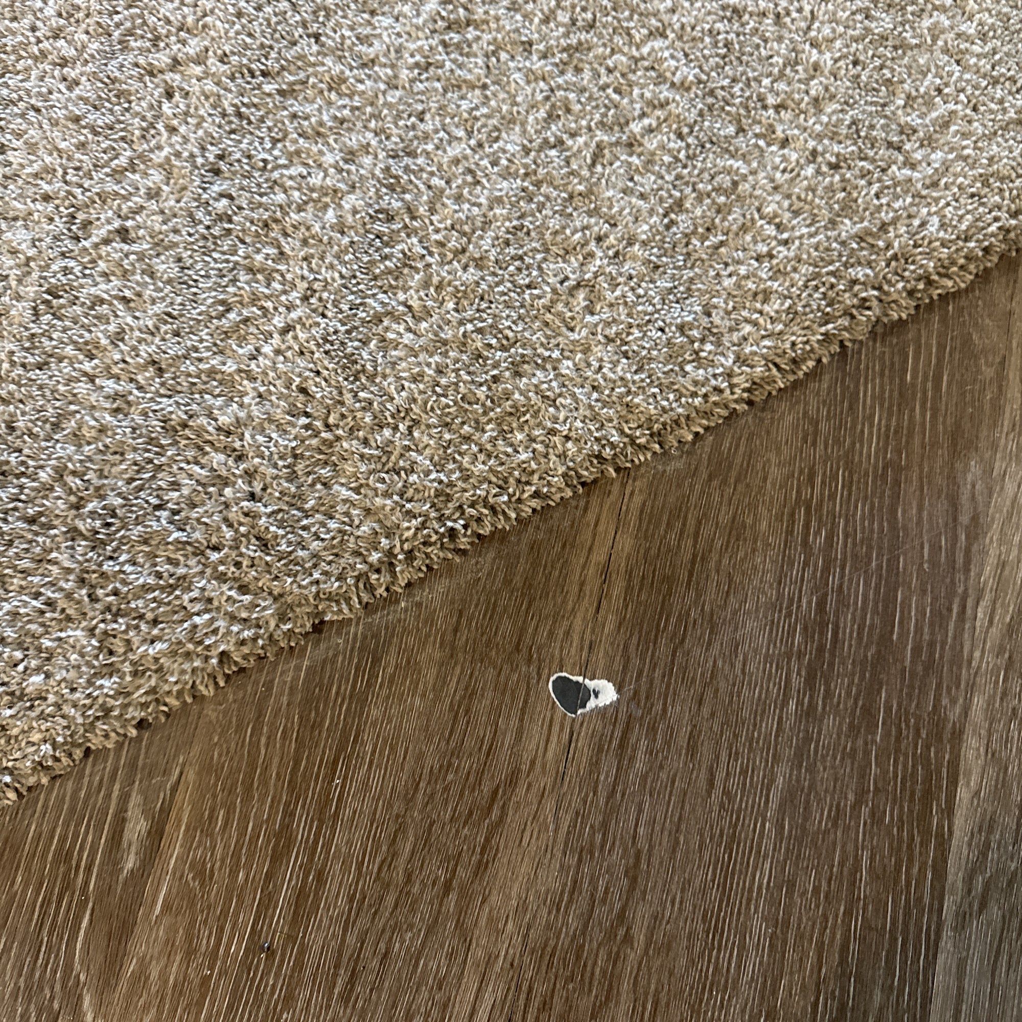 Rasa Floors