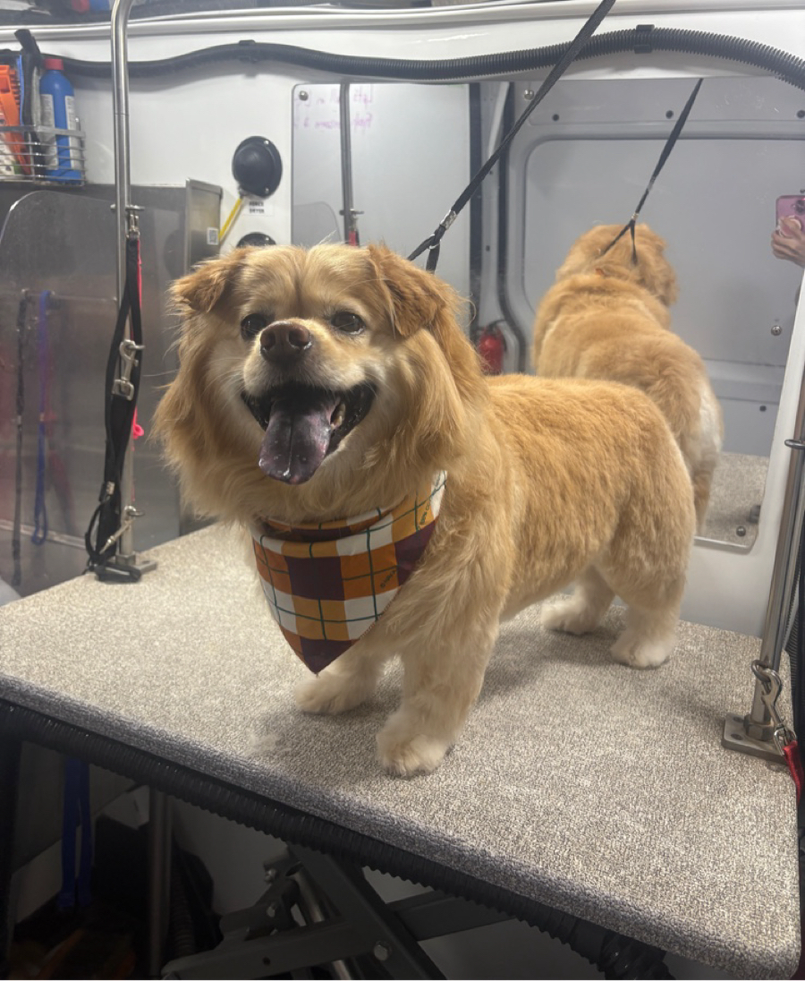 Kontota of NW San Antonio San Antonio