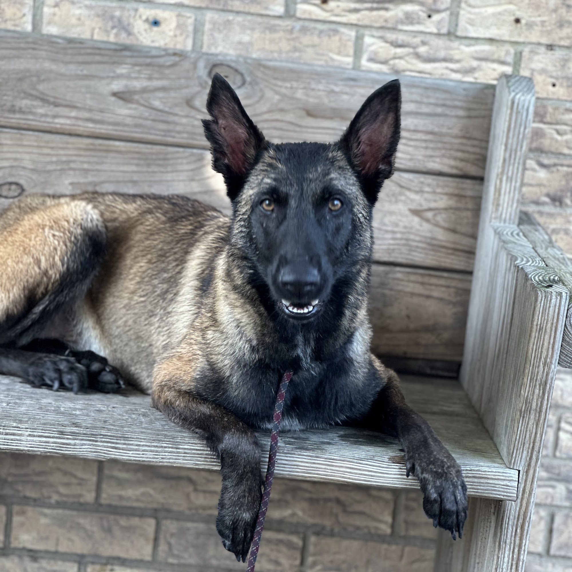 San Saba Animal Hospital San Saba