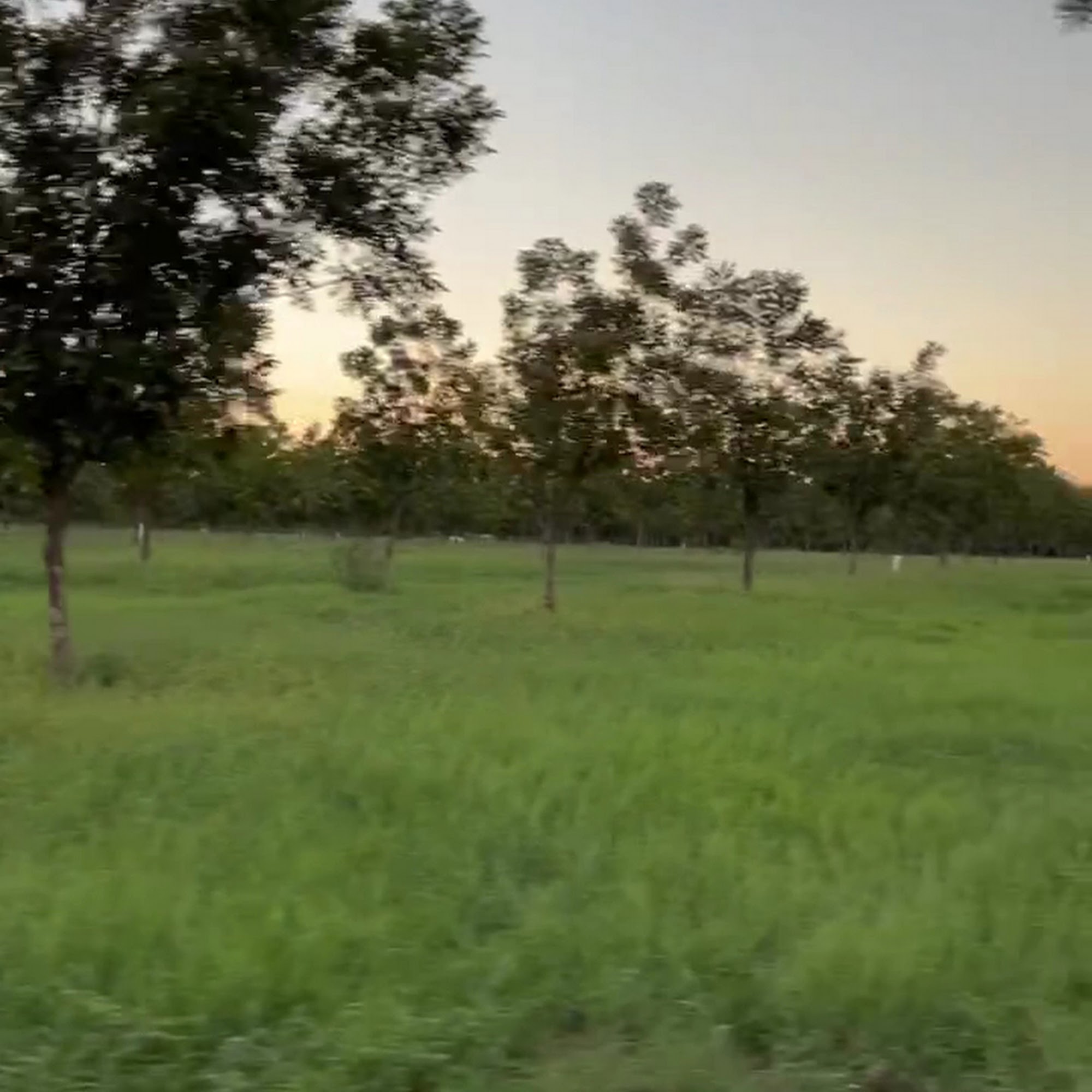 Millican Pecan Company - San Saba, Texas San Saba