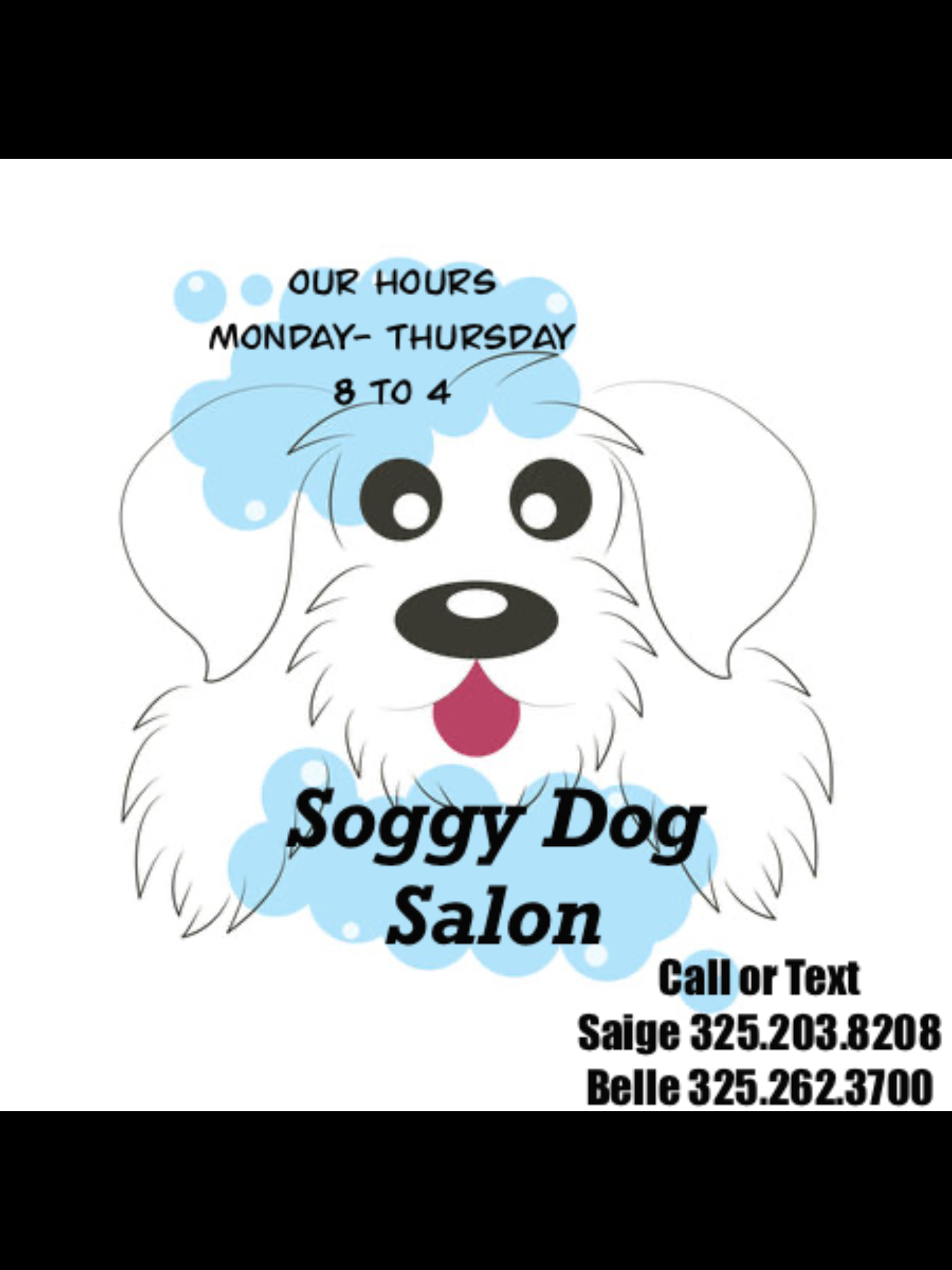 Soggy Dog Salon 107 N Clear St, San Saba Texas 76877