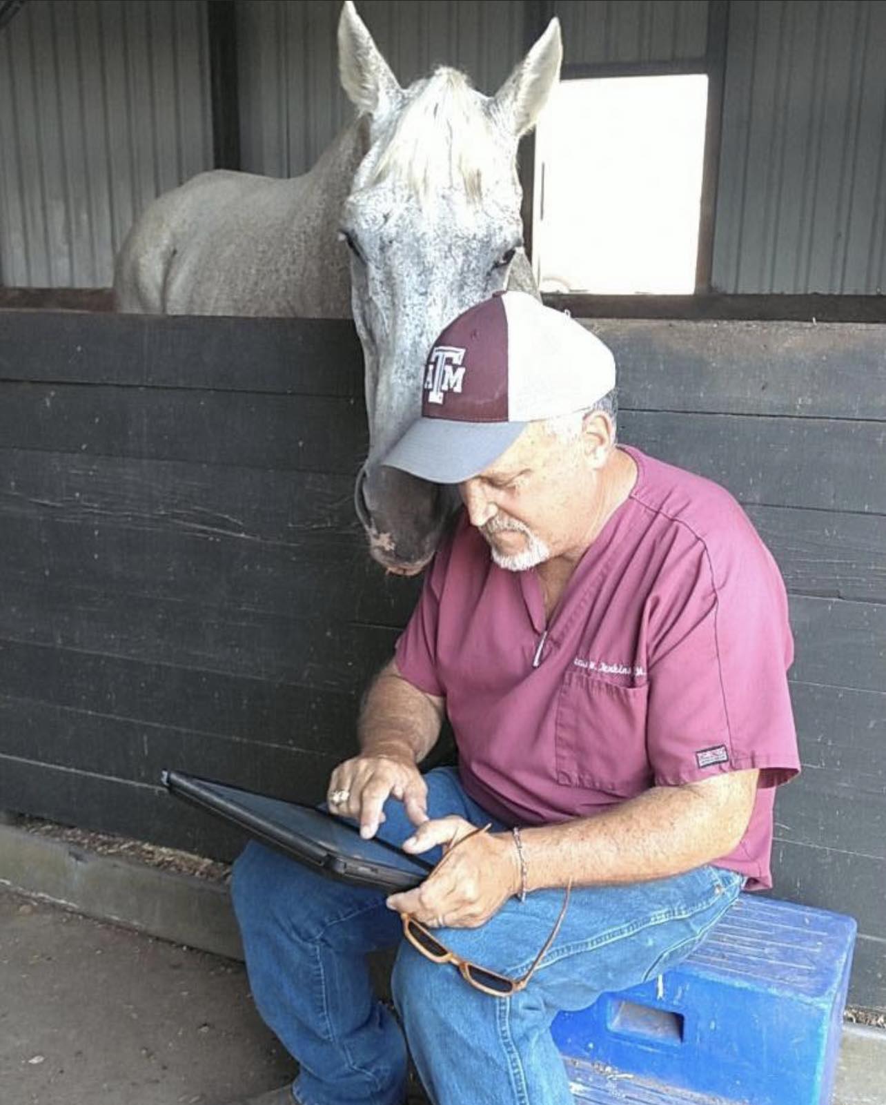 Santa Fe Equine Associates Santa Fe