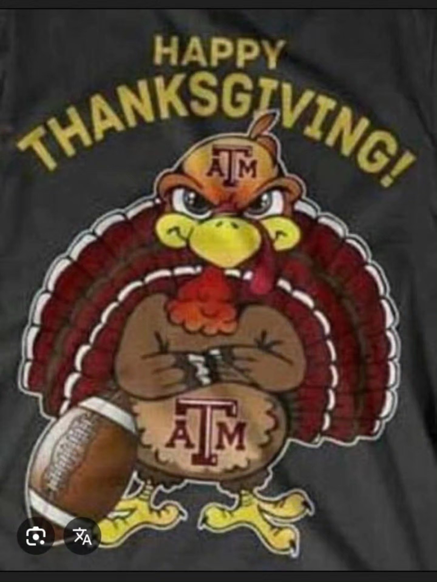 Santa Fe Equine Associates Santa Fe