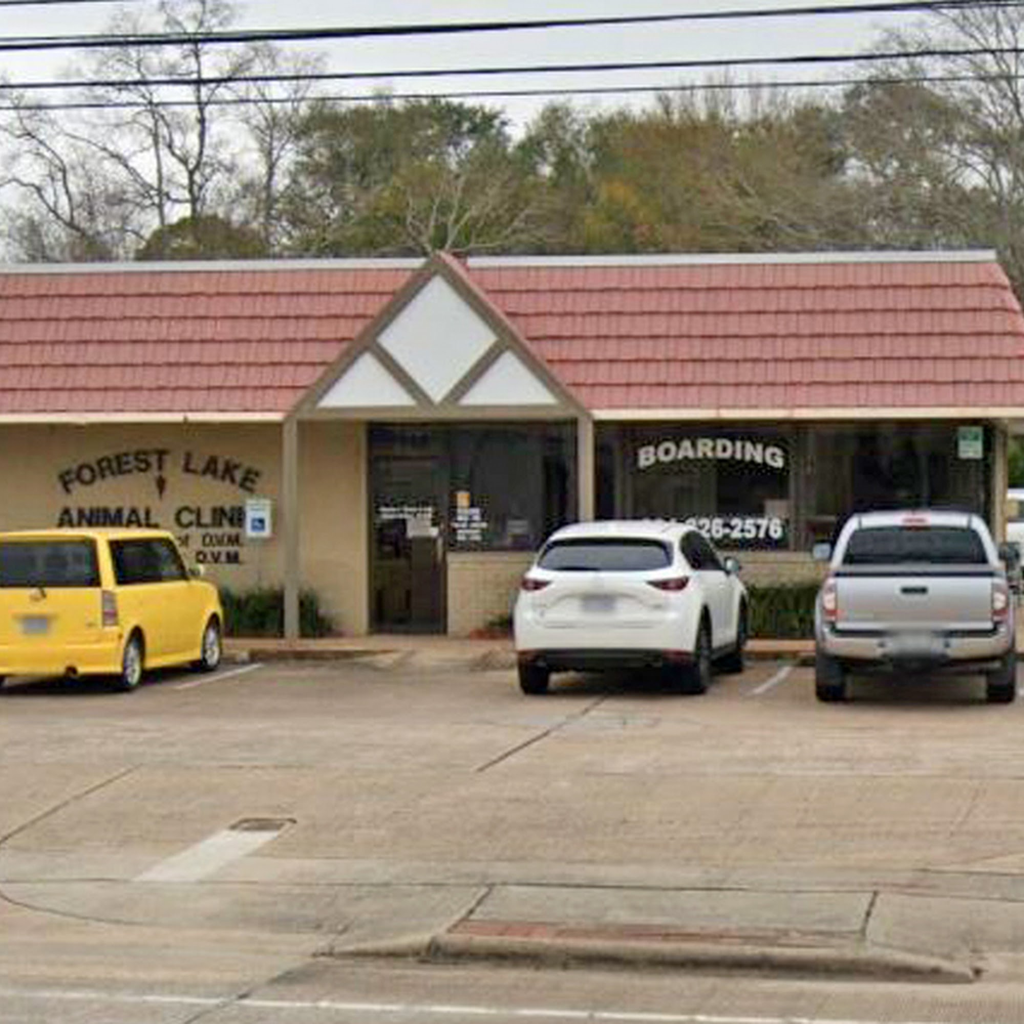 Forest Lake Animal Clinic Seabrook