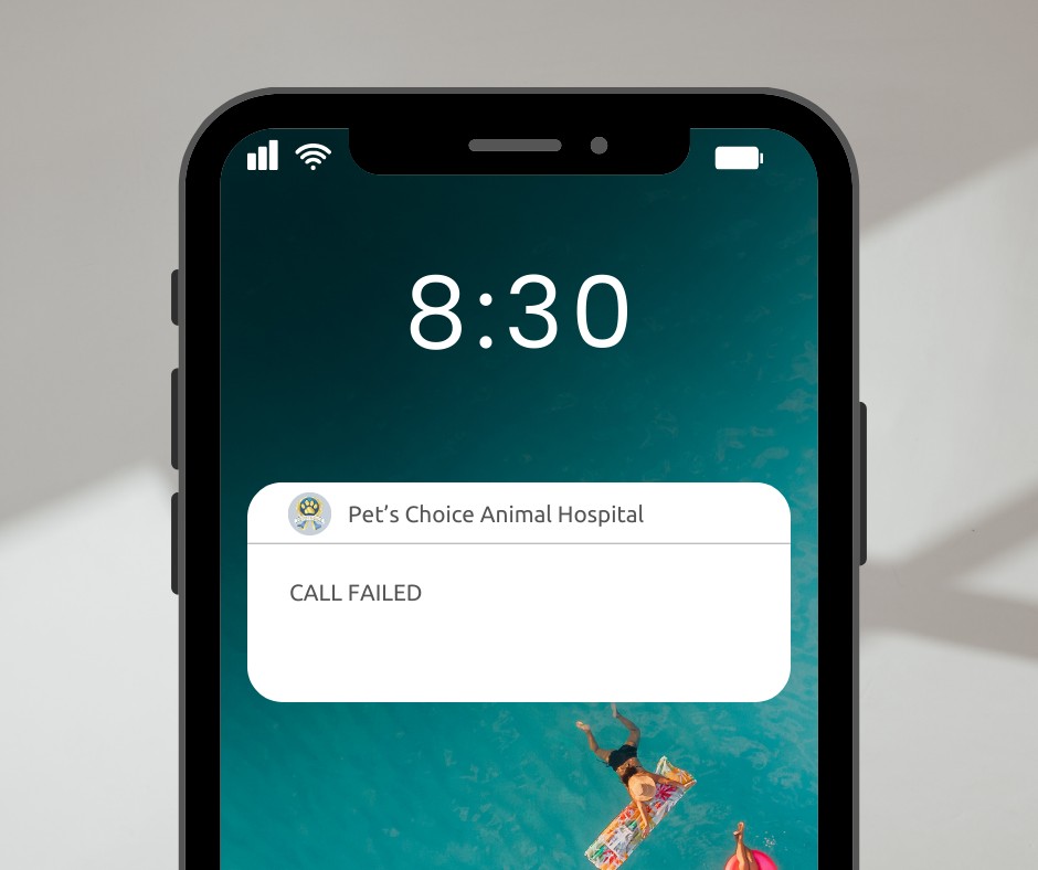 Pet's Choice Animal Hospital Seguin