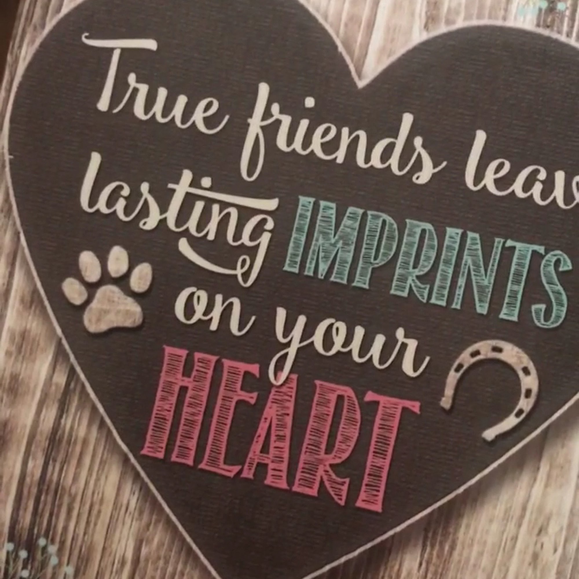 Southern Winds Veterinary Services Seguin