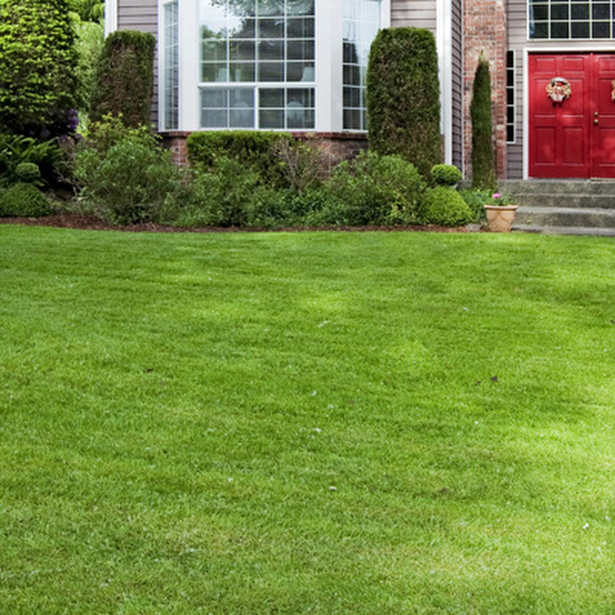 Square One Lawncare
