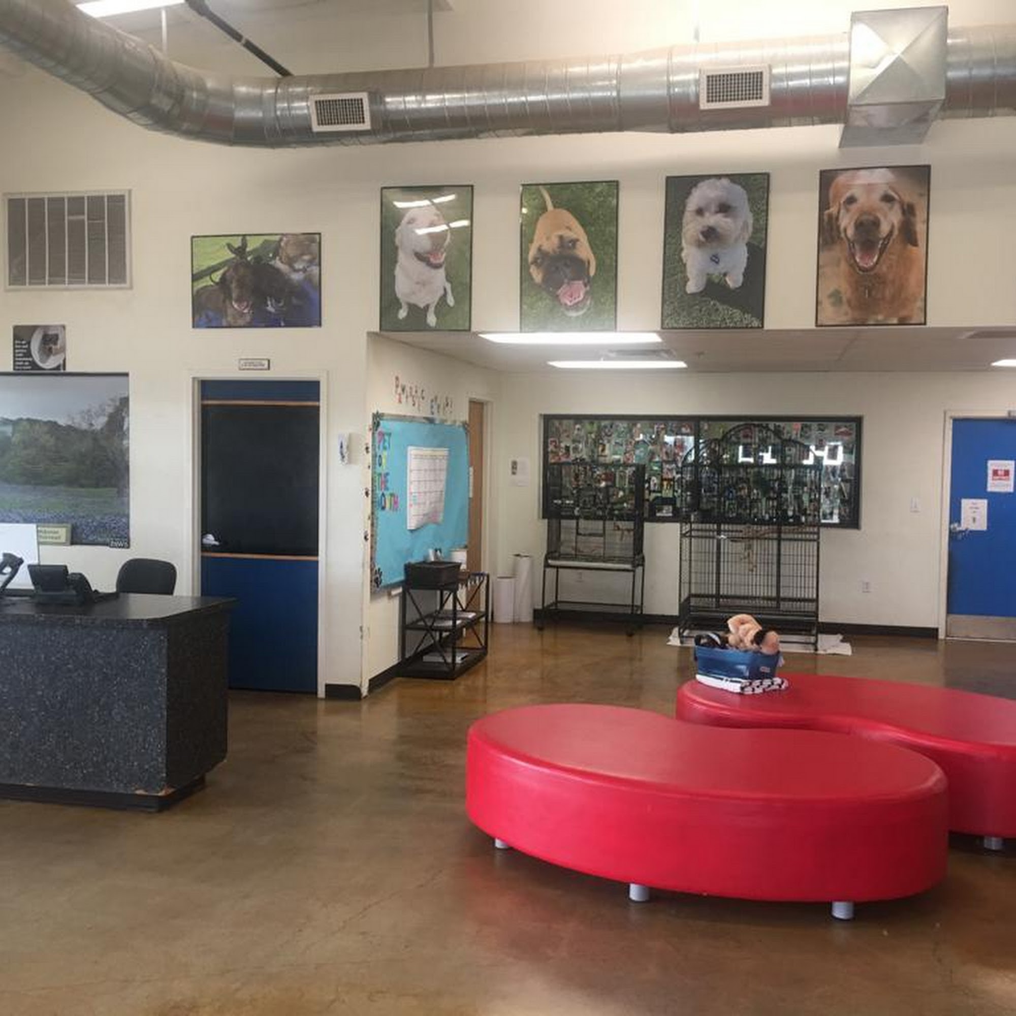 Bluebonnet Bunk'n Biscuit Selma