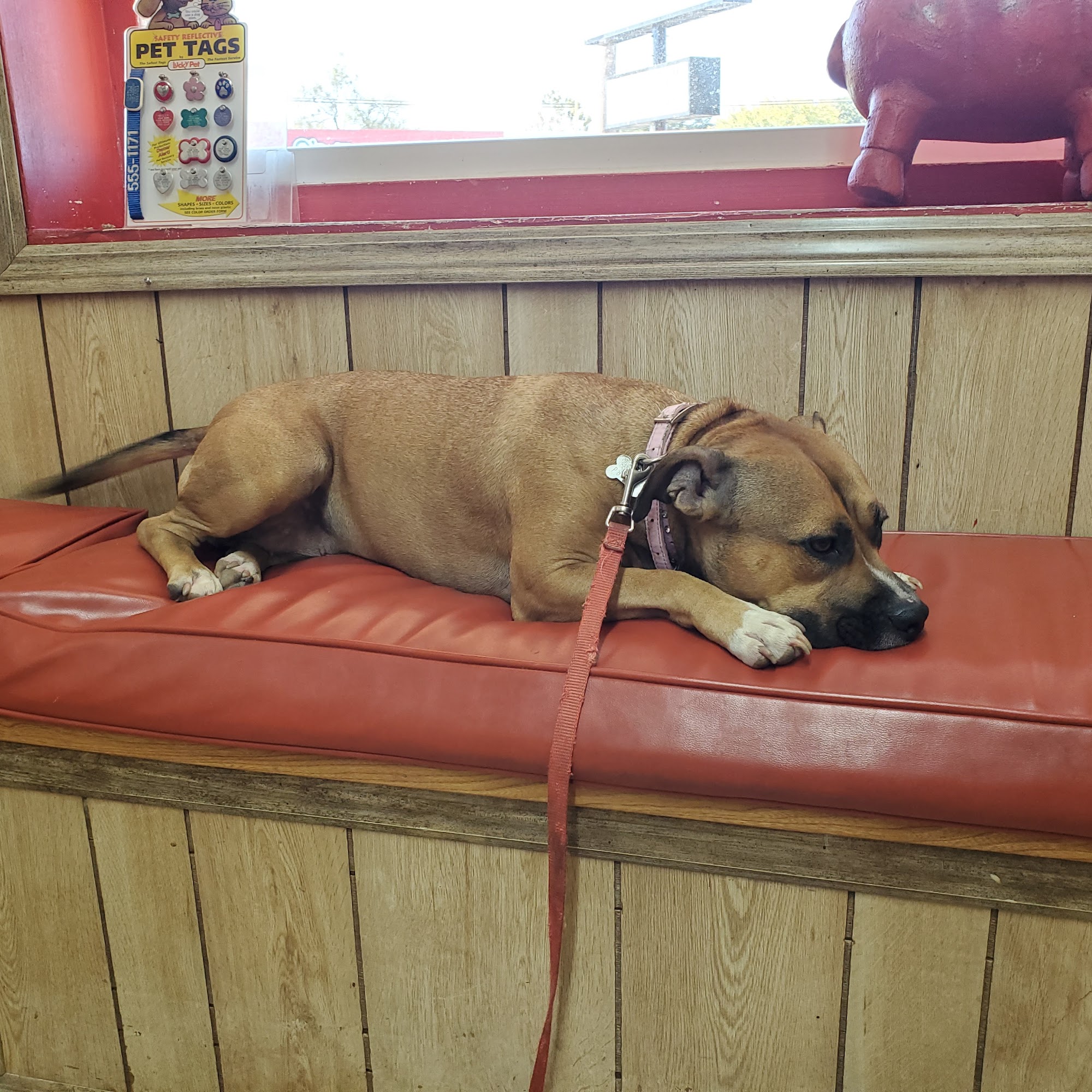 Animal Medical Clinic Seven Points