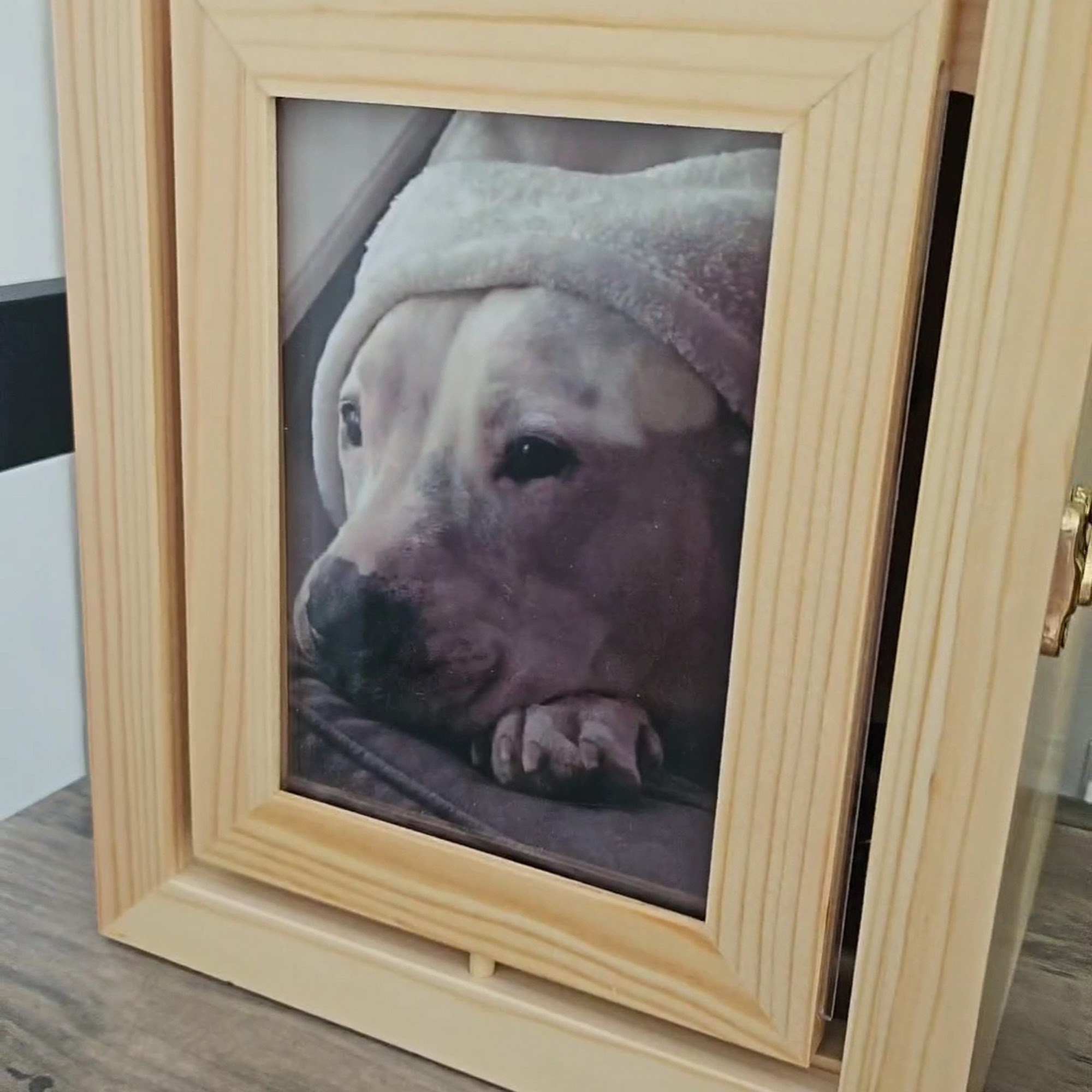 Animal Health Clinic Sherman