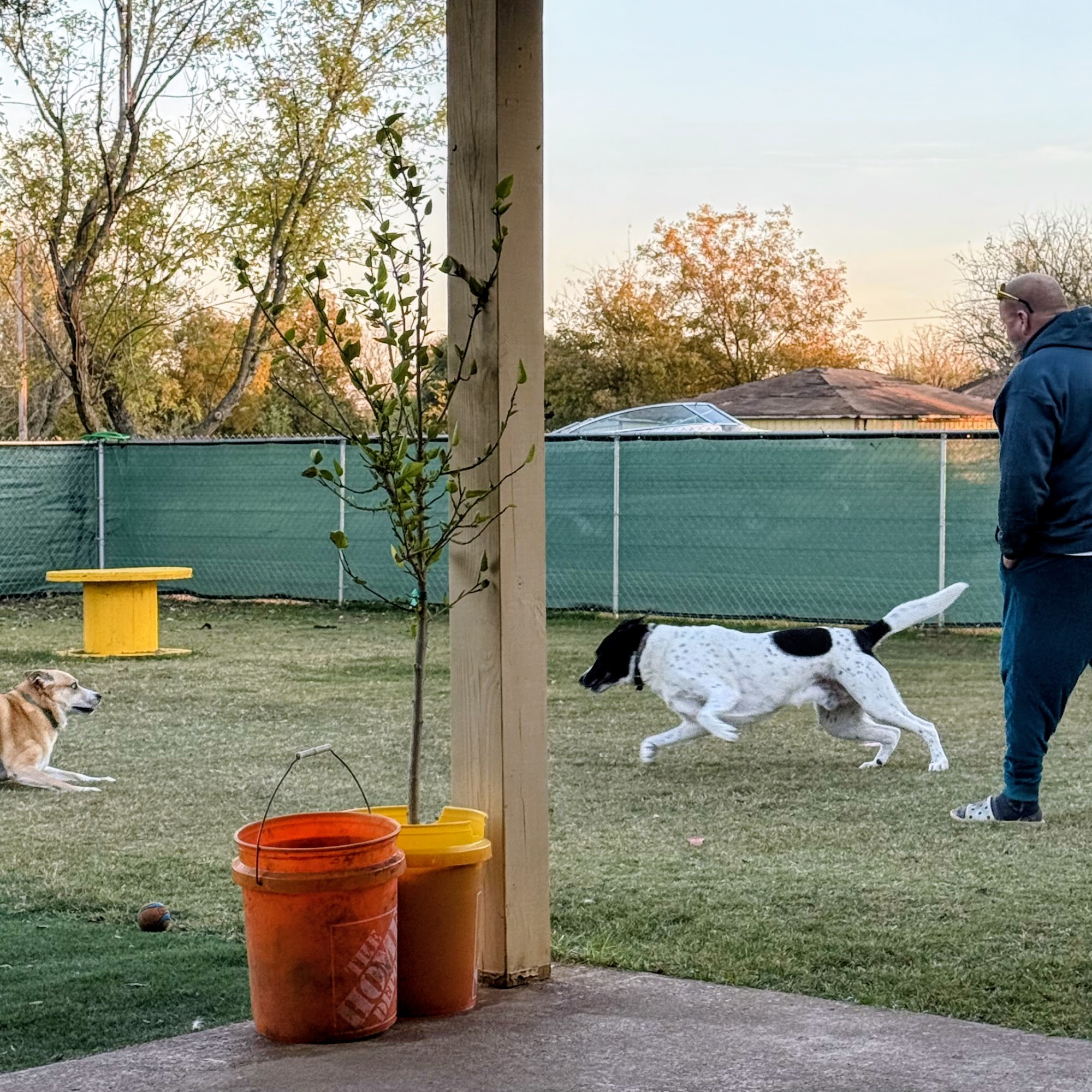 Texoma Pet Care Sherman